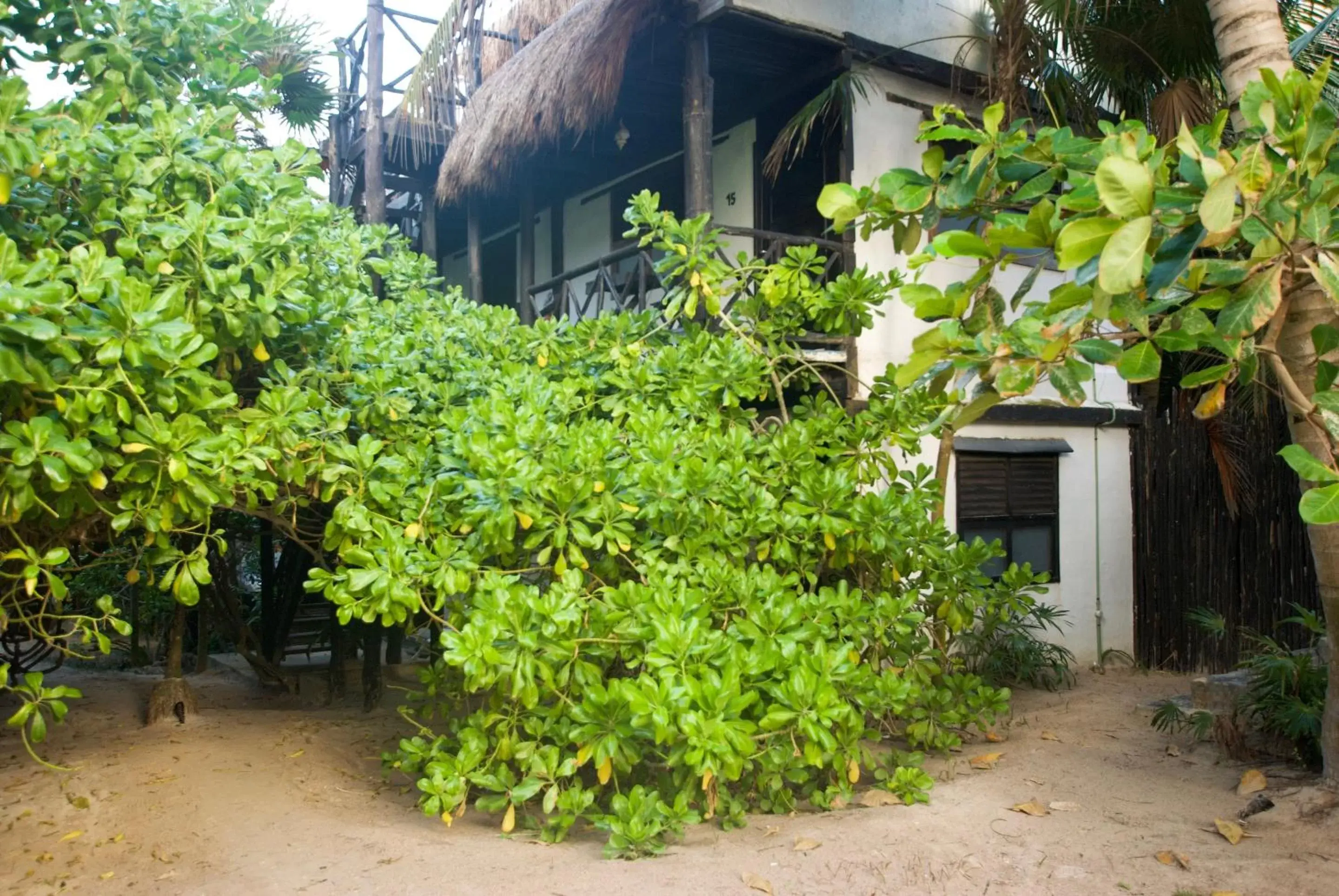 Garden, Property Building in Hotel Zulum