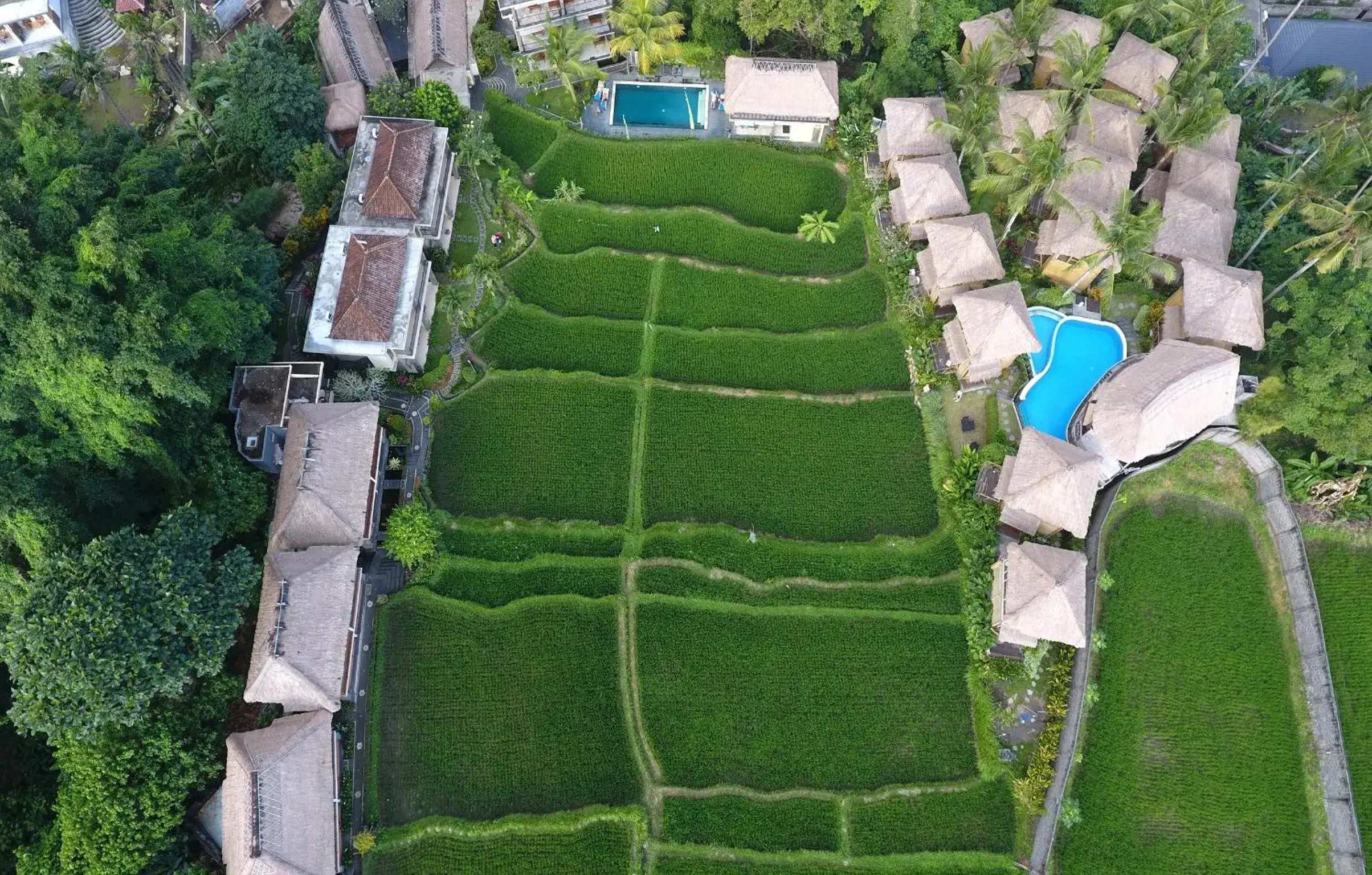 View (from property/room), Bird's-eye View in Biyukukung Suite & Spa