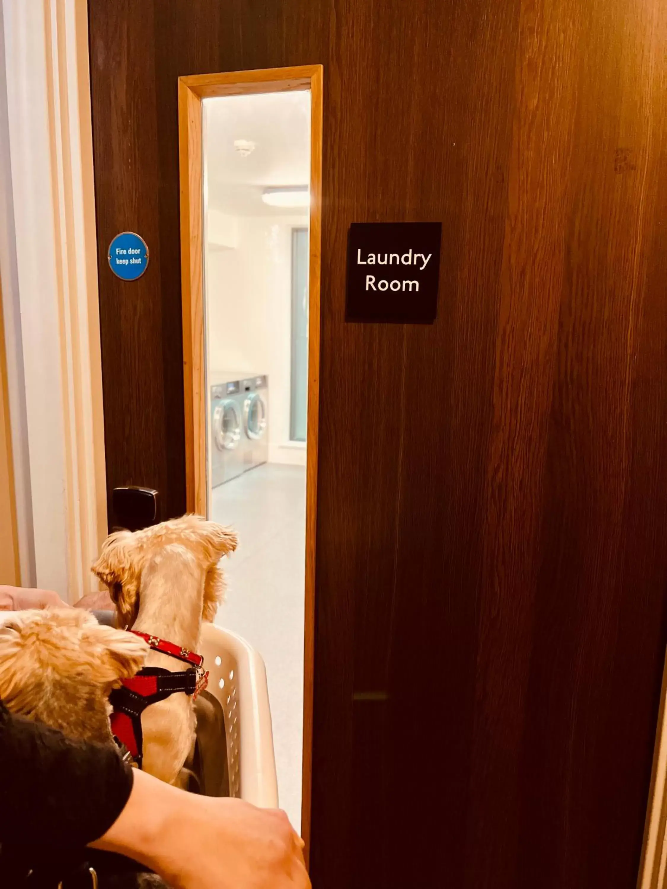 laundry, Bathroom in Staybridge Suites London Heathrow - Bath Road, an IHG Aparthotel