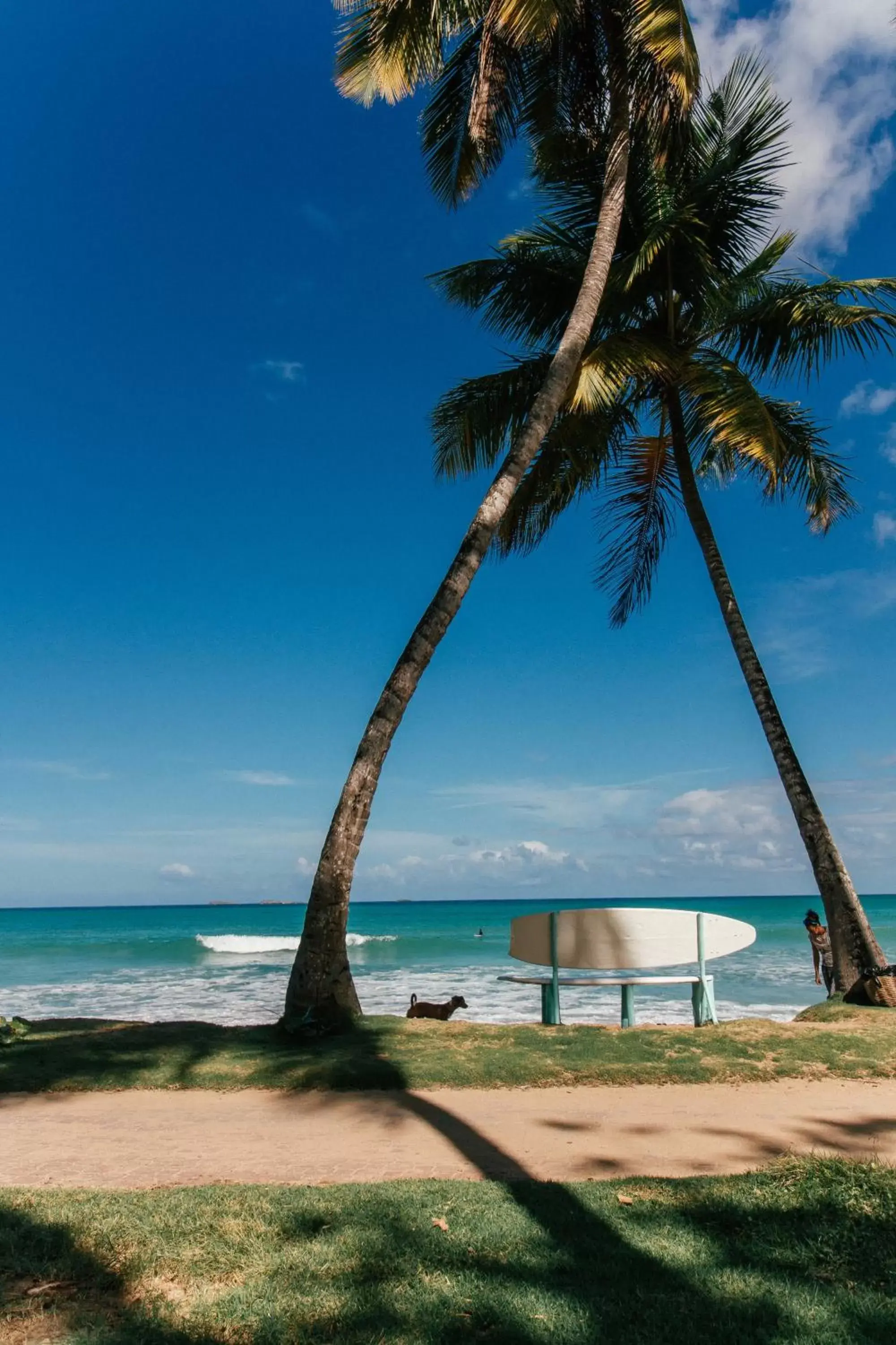 Property building in El Mosquito Boutique Hotel Playa Bonita