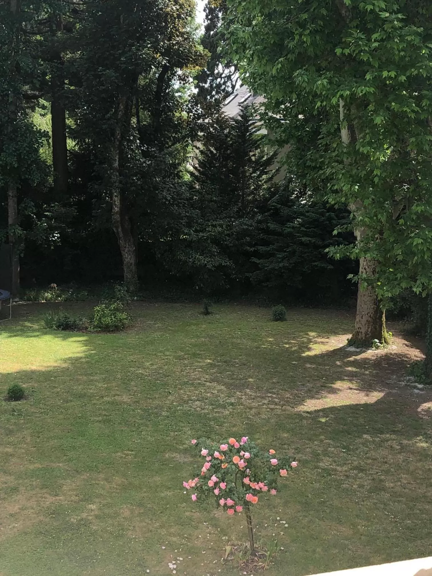 Garden in La Grande Carrée