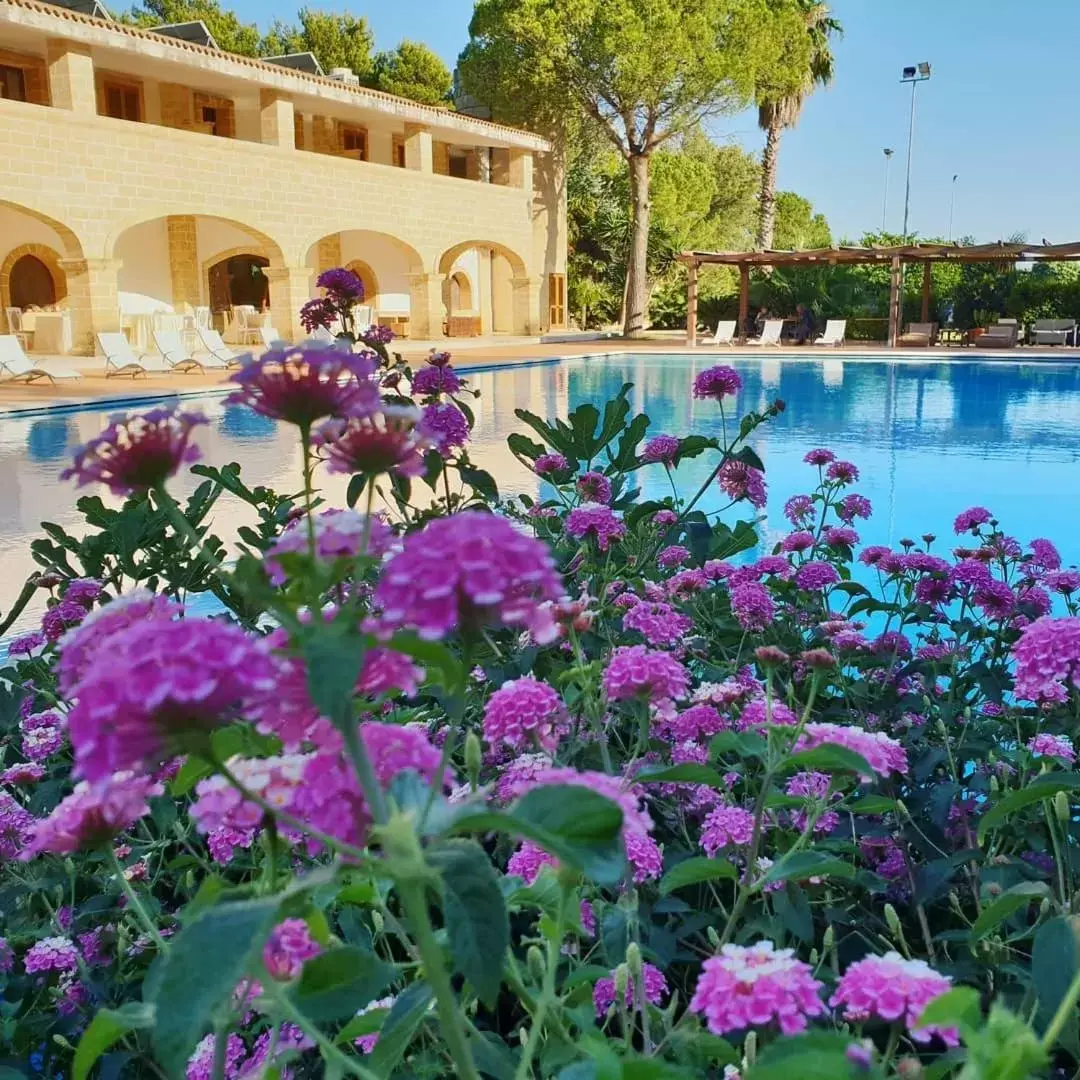 Property building, Swimming Pool in Antica Masseria Martuccio