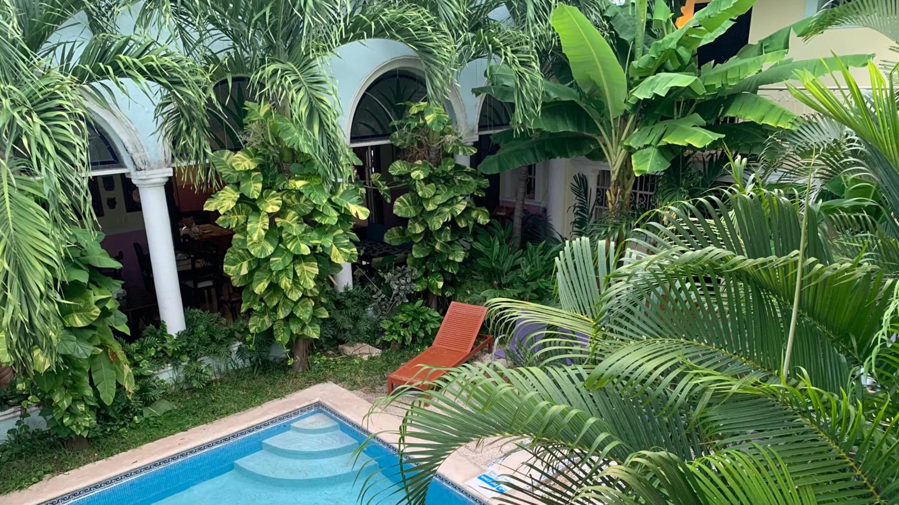 Garden in Hotel Santa Ana