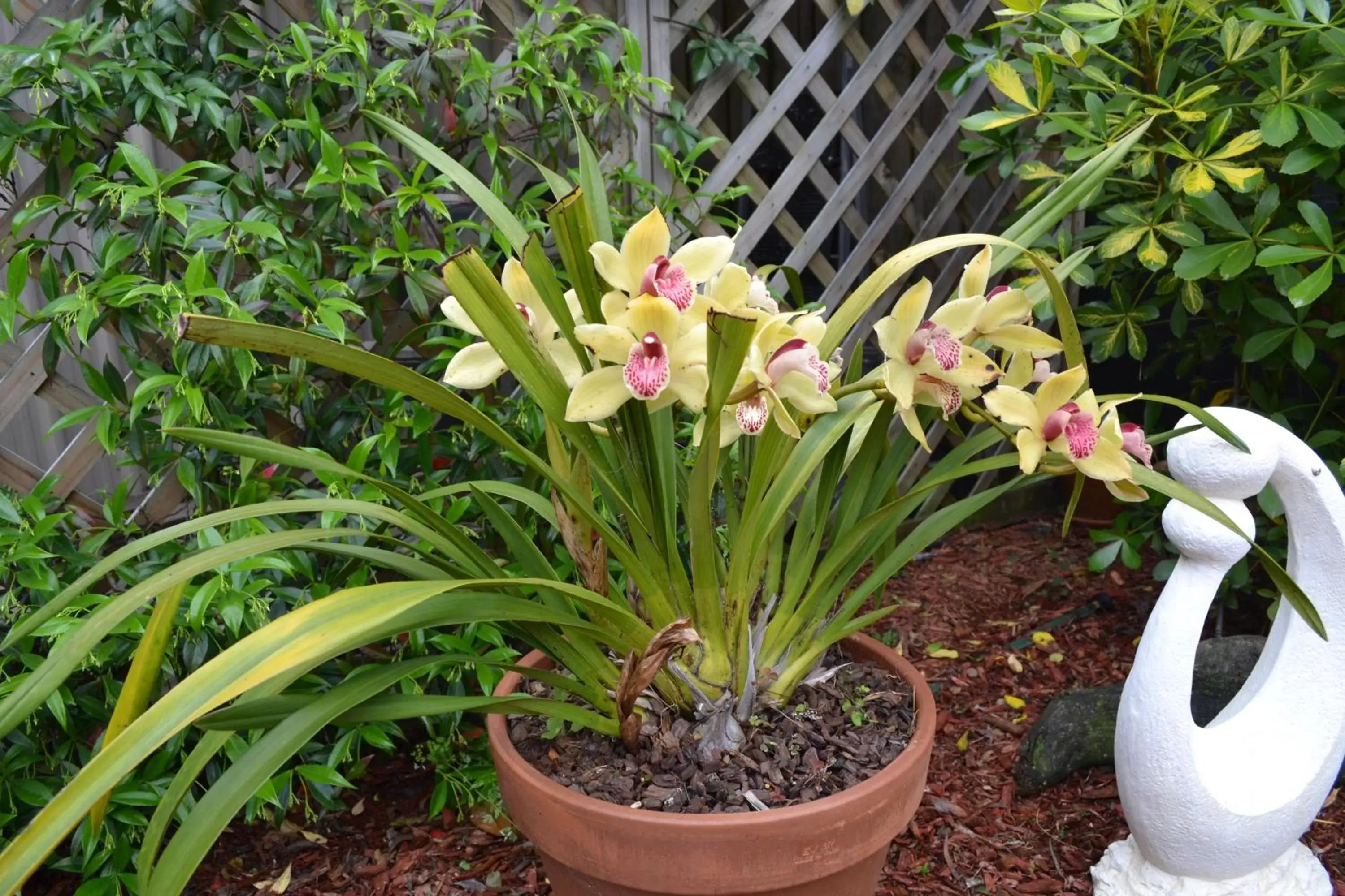 Annie's BnB at 7C Annie's BnB at 7C