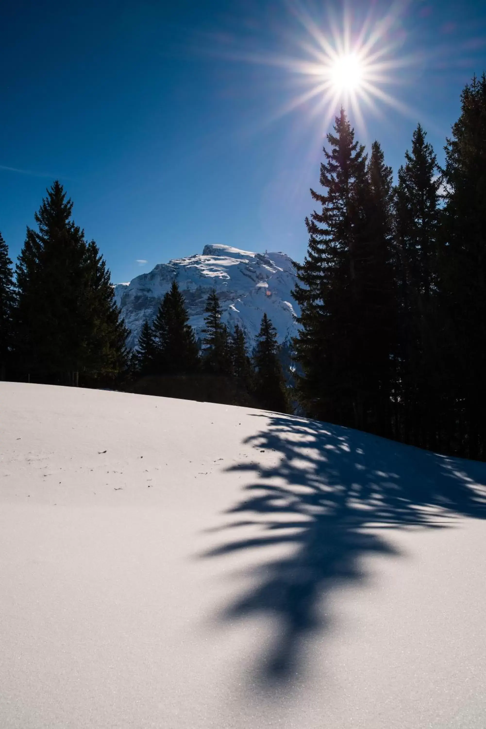 Natural landscape, Winter in H+ Hotel & SPA Engelberg