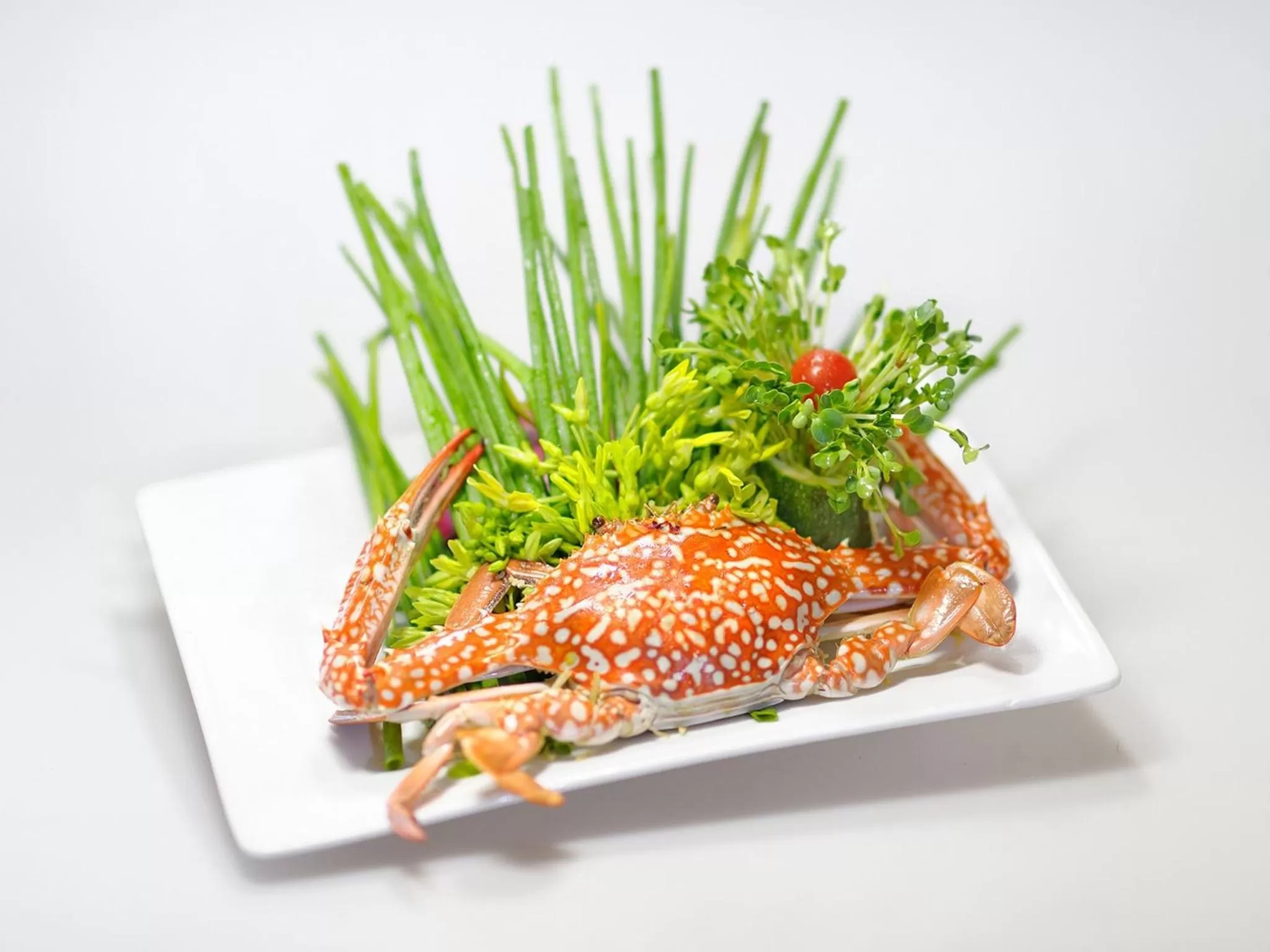 Food close-up in Elios Hotel