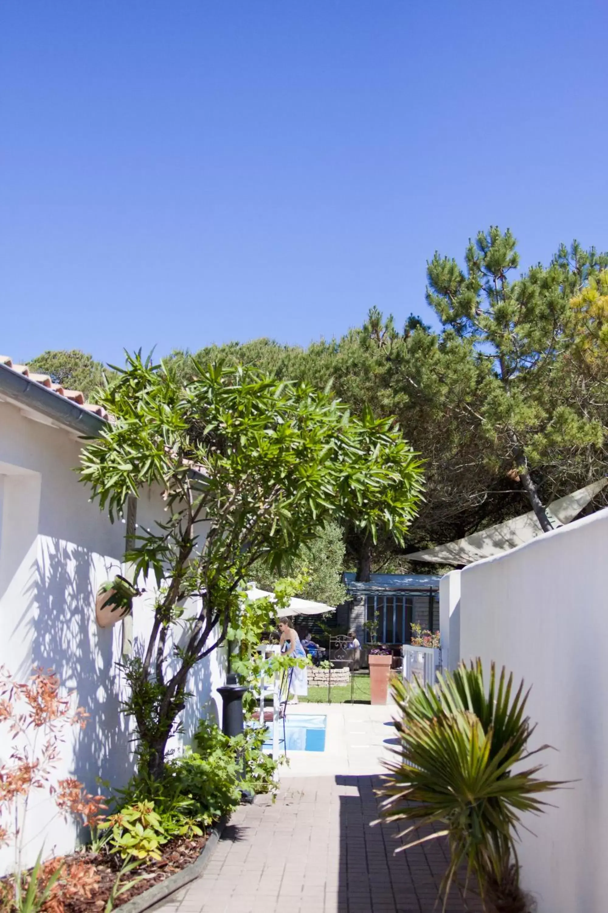 Decorative detail, Pool View in Hôtel Restaurant & Spa Plaisir