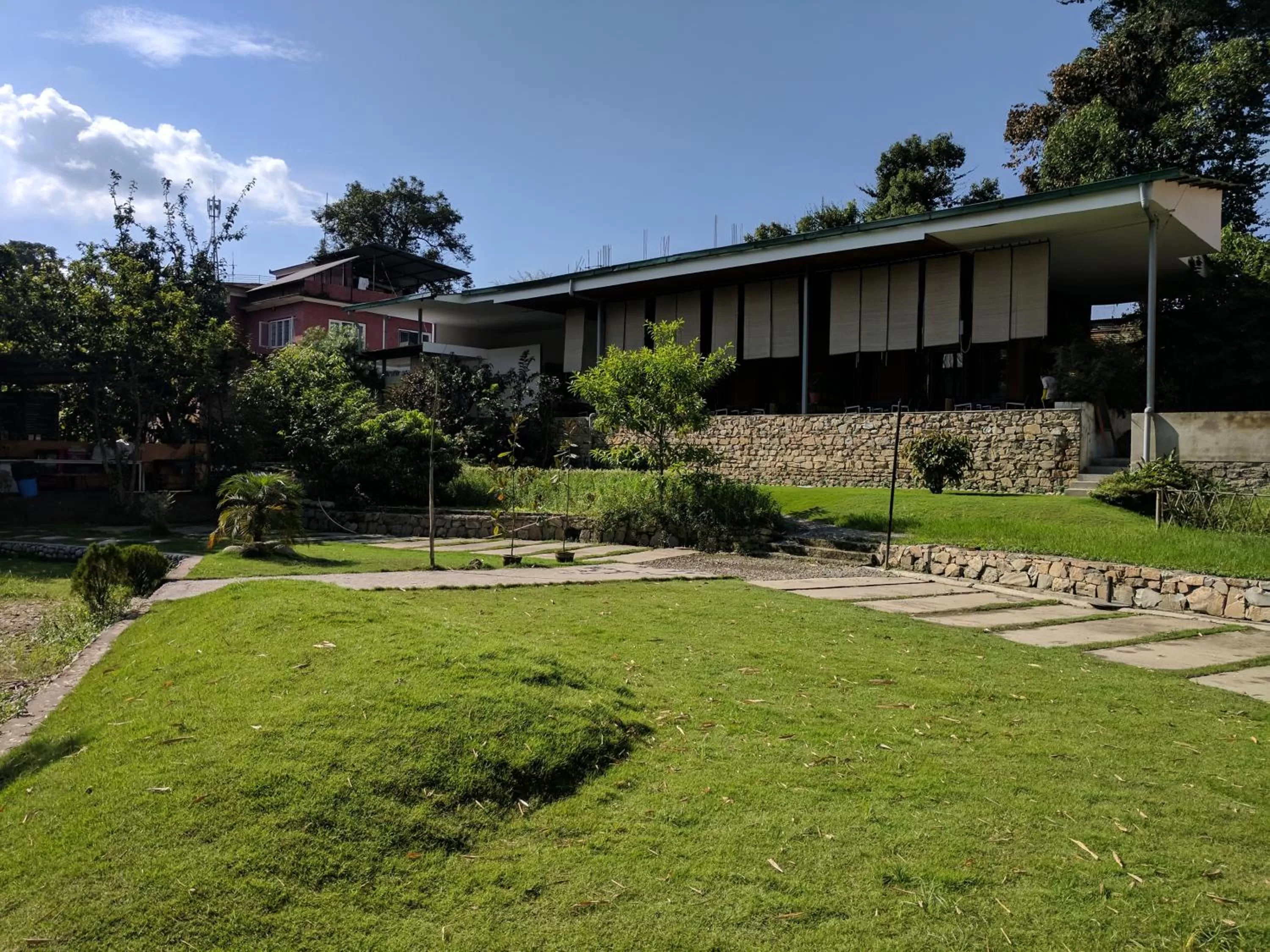 Garden in The Museum