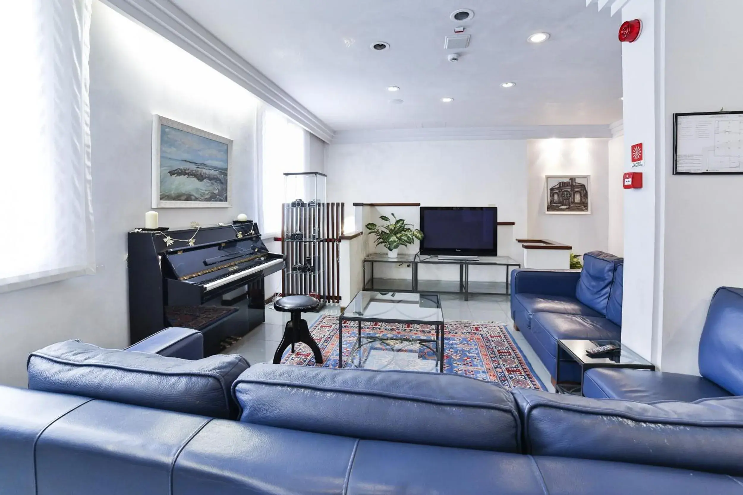 Communal lounge/ TV room, Seating Area in Hotel Sunset