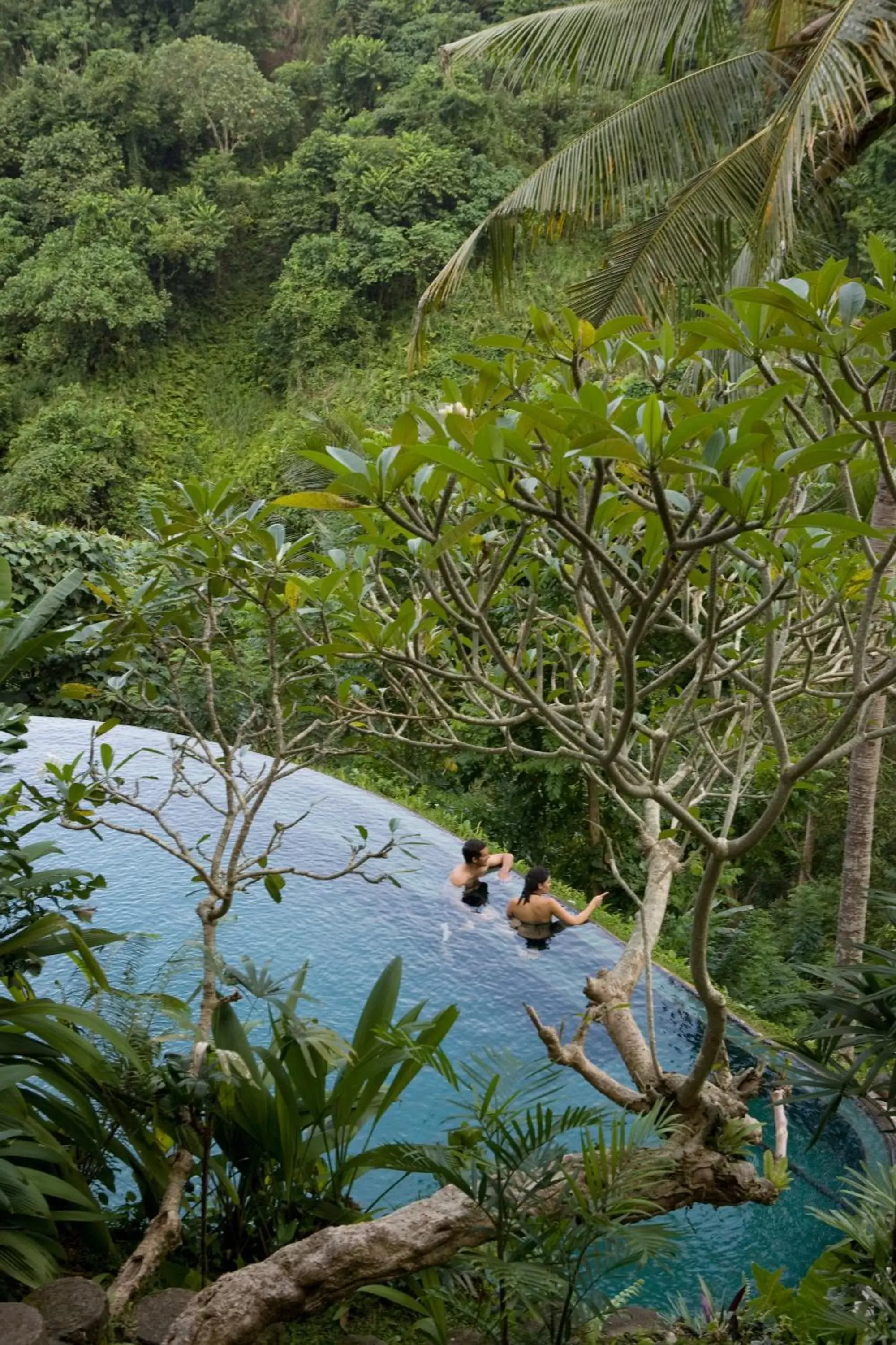 View (from property/room) in Pita Maha Resort & Spa View (from property/room) in Pita Maha Resort & Spa