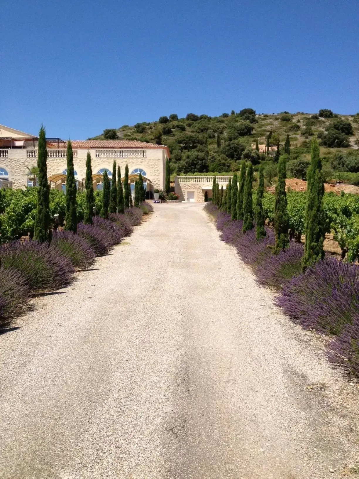 Day in Château de Valloubière