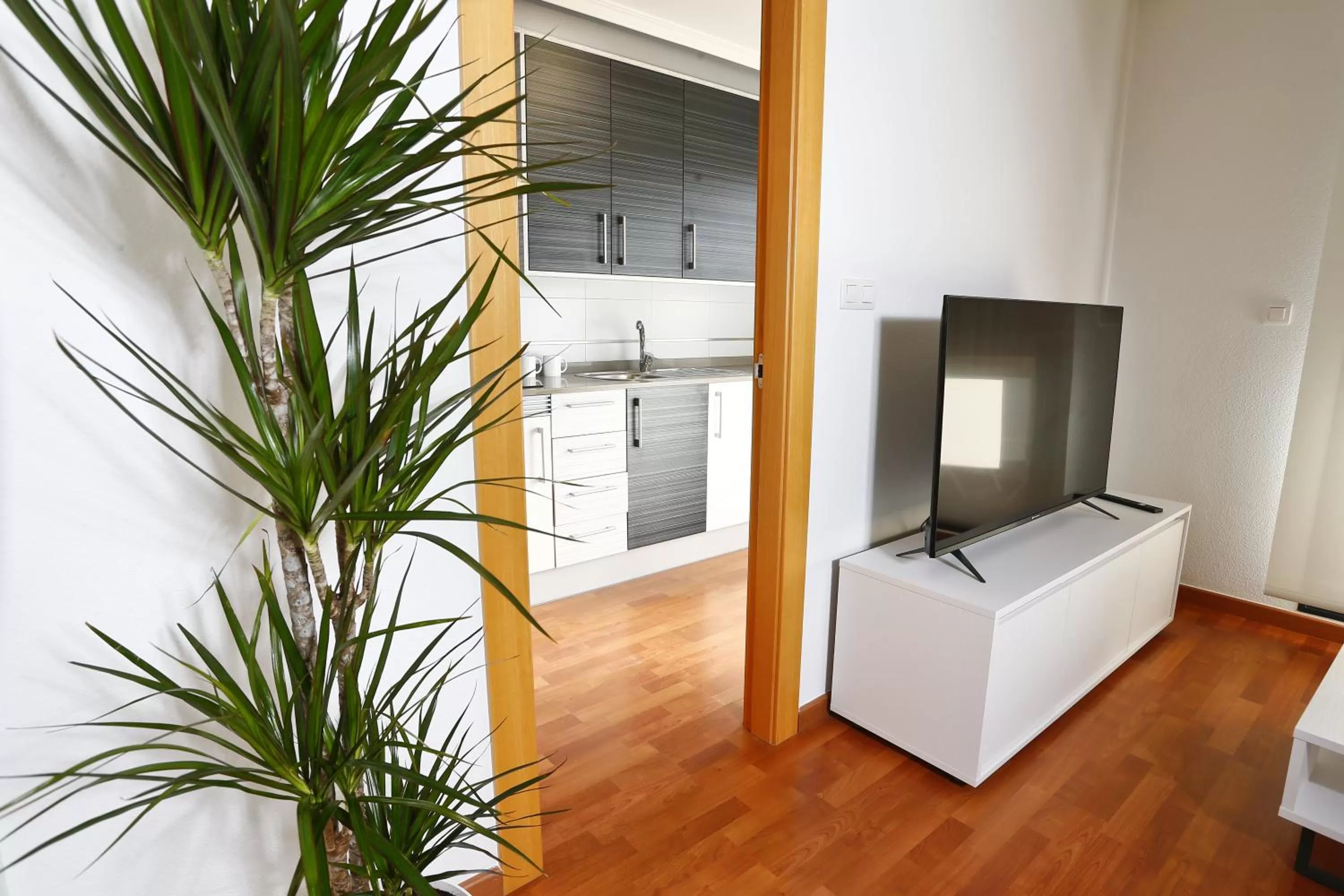 TV and multimedia in Alojamientos Libertad