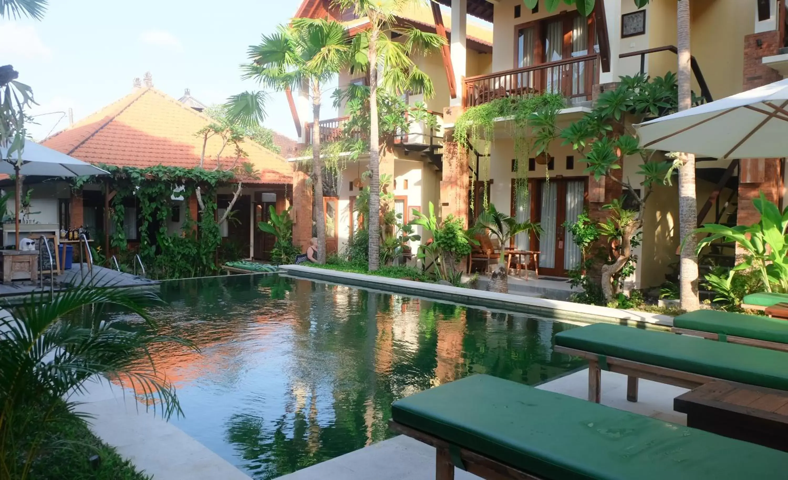 Pool view, Swimming Pool in Mina Pelasa Hotel