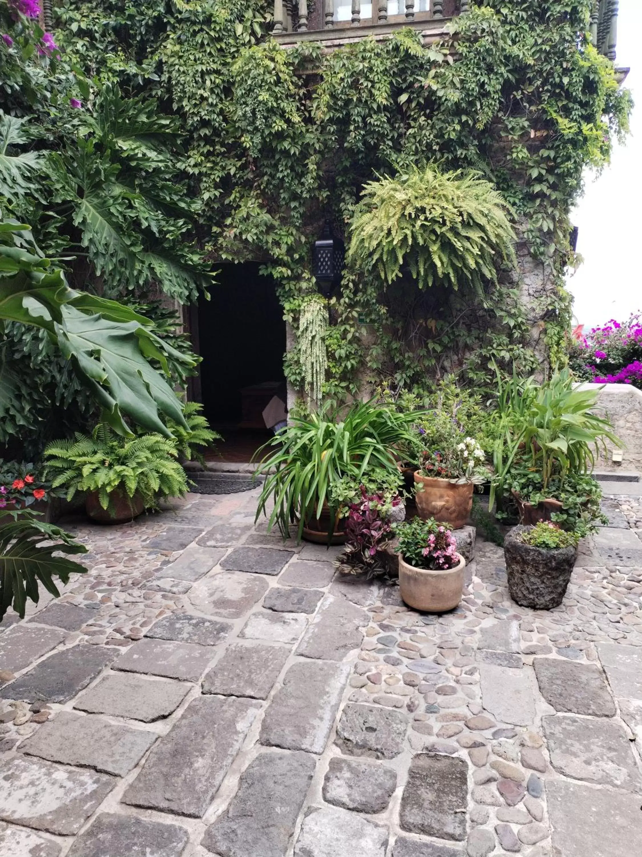 Garden view in Hacienda Las Amantes