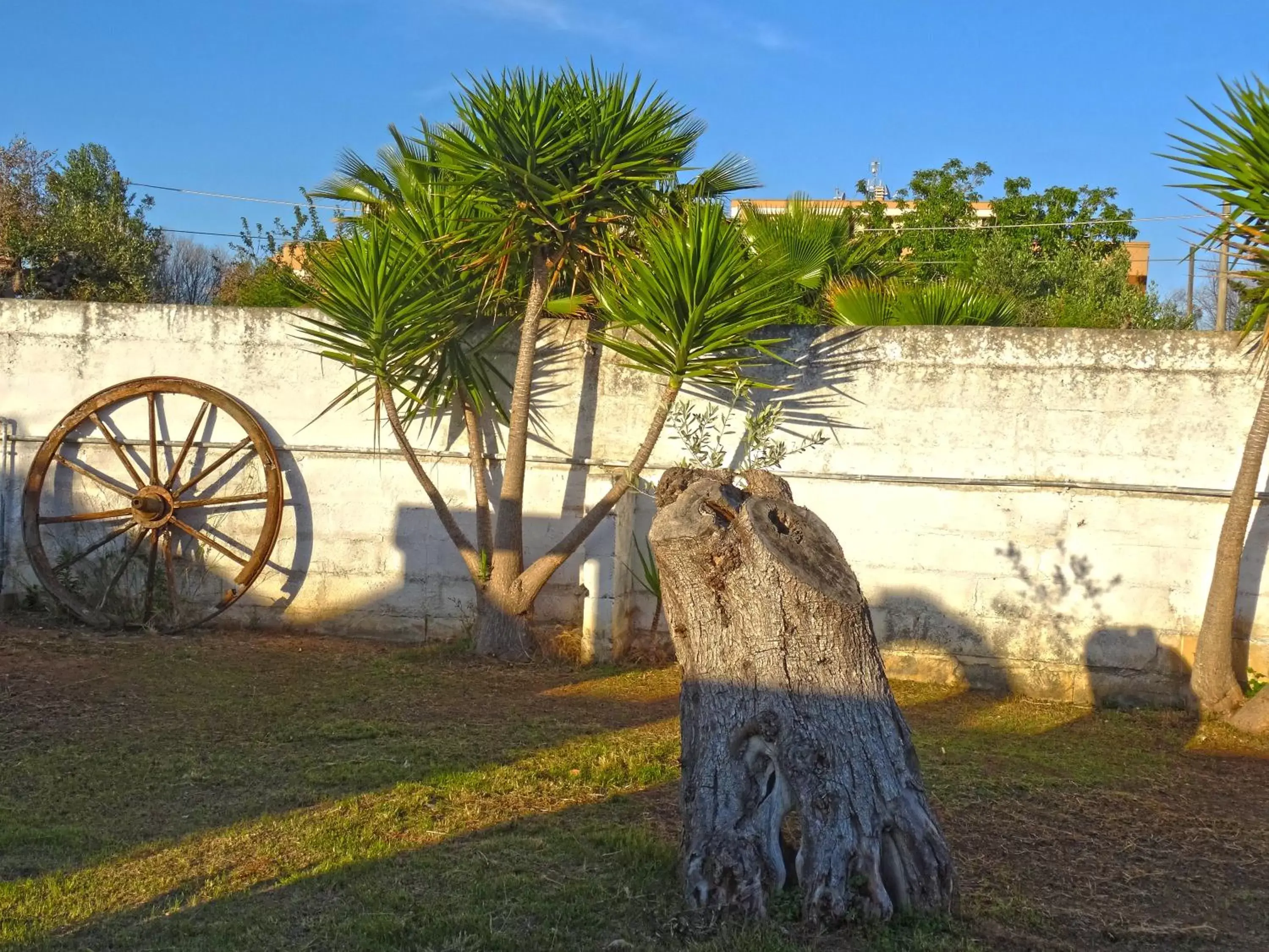 Property building, Garden in B&B Sant'Antonio