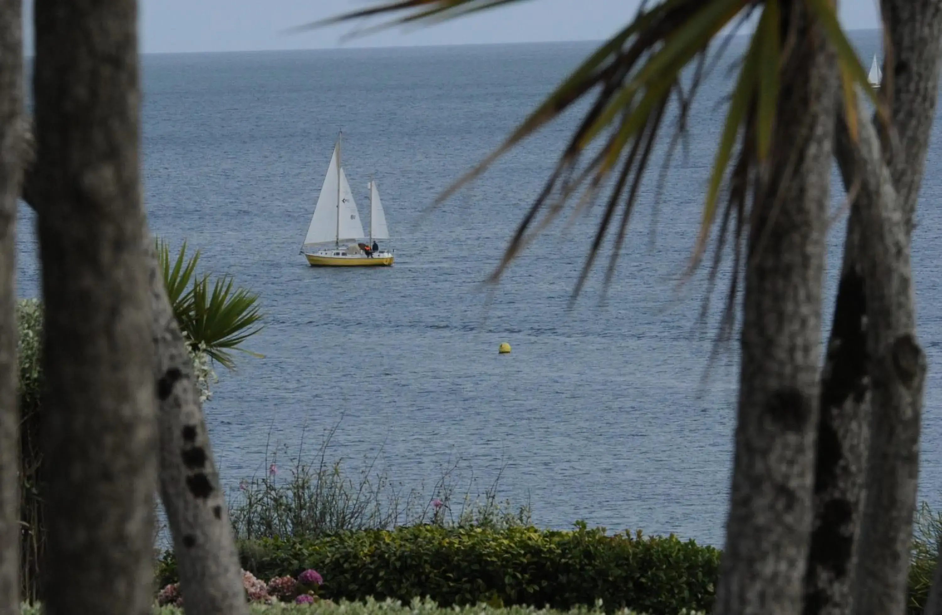 View (from property/room), Sea View in Anacapri