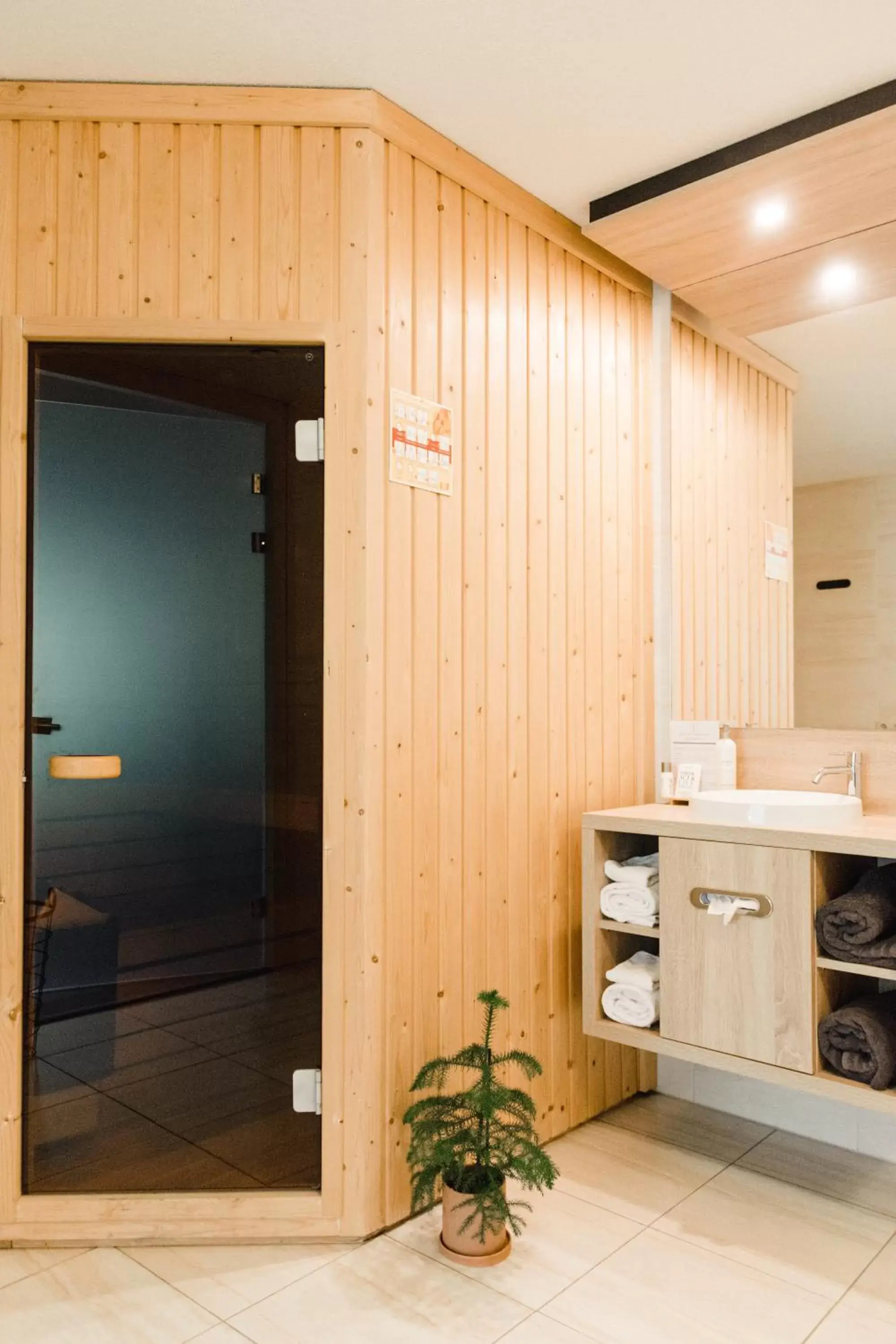 Sauna, Bathroom in Witte Berken Natuurhotel