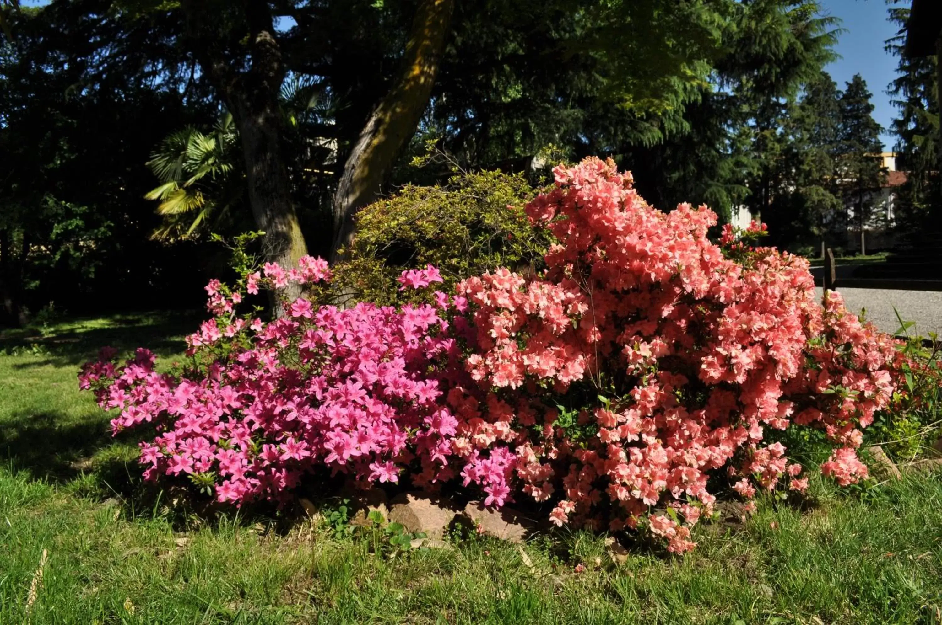 Spring, Garden in Invilla B&B