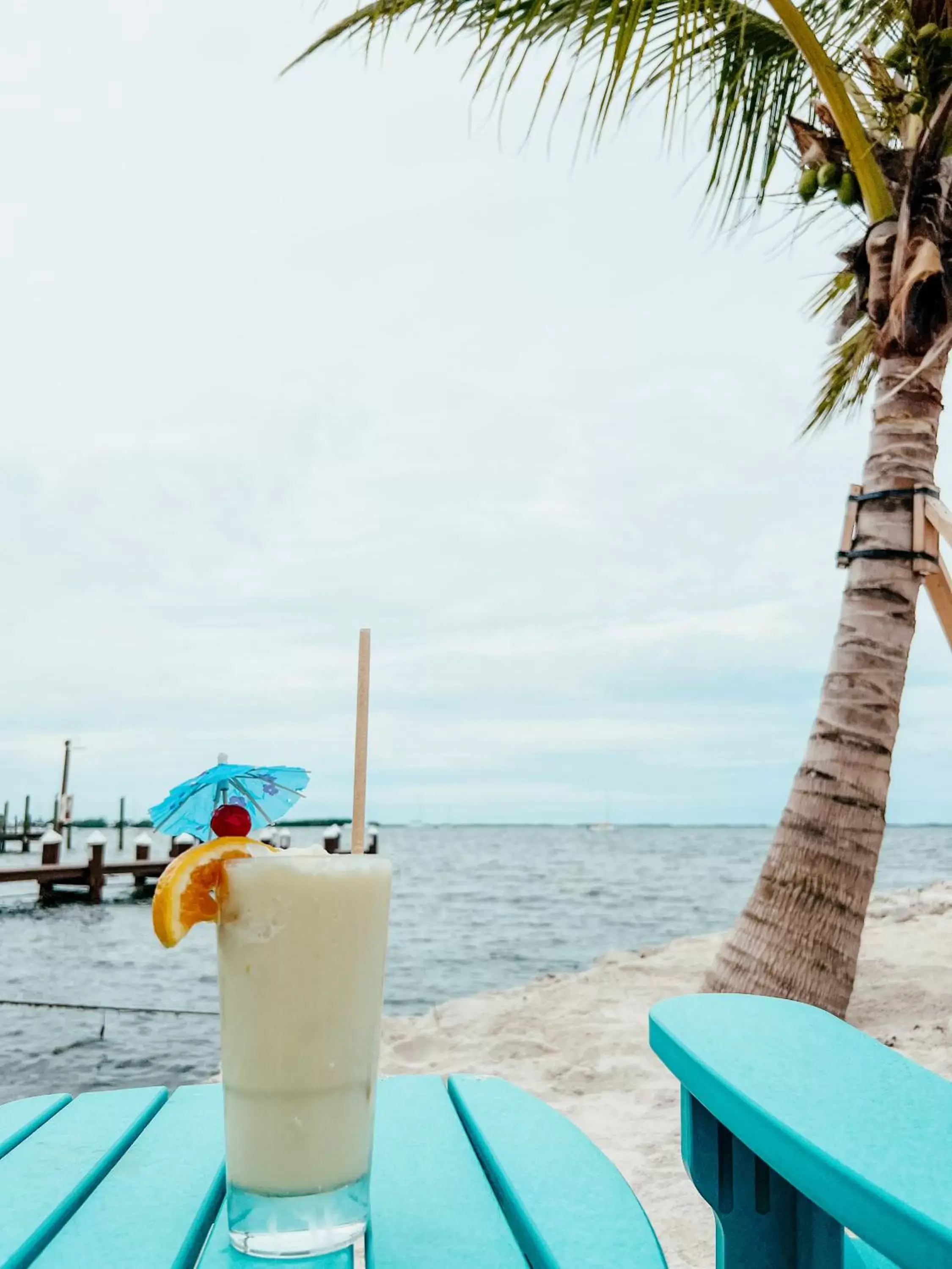 Natural landscape in Bayside Inn Key Largo