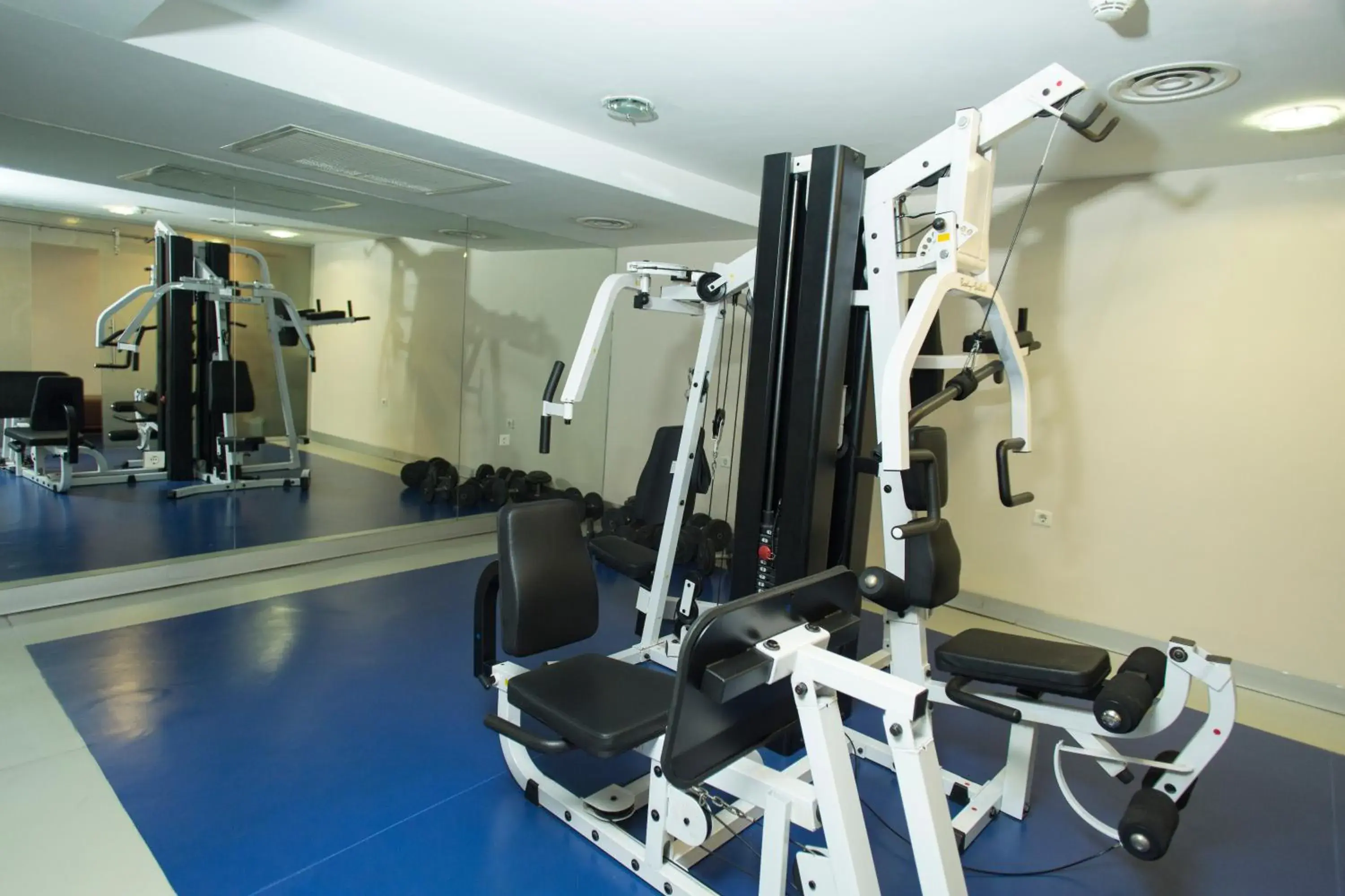 Fitness centre/facilities, Fitness Center/Facilities in Topkapi Inter Istanbul Hotel