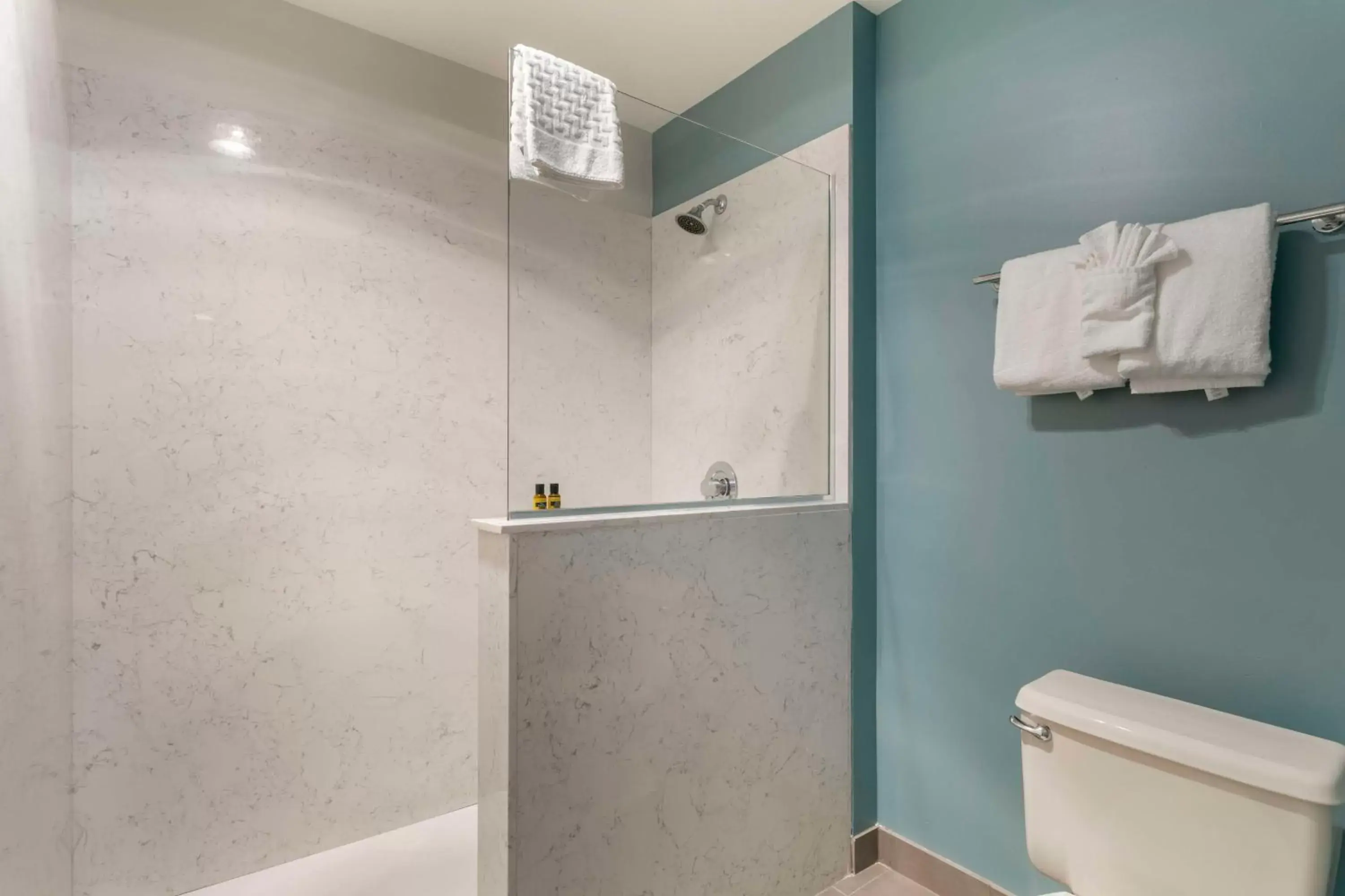Shower, Bathroom in Best Western Plus All Suites Inn