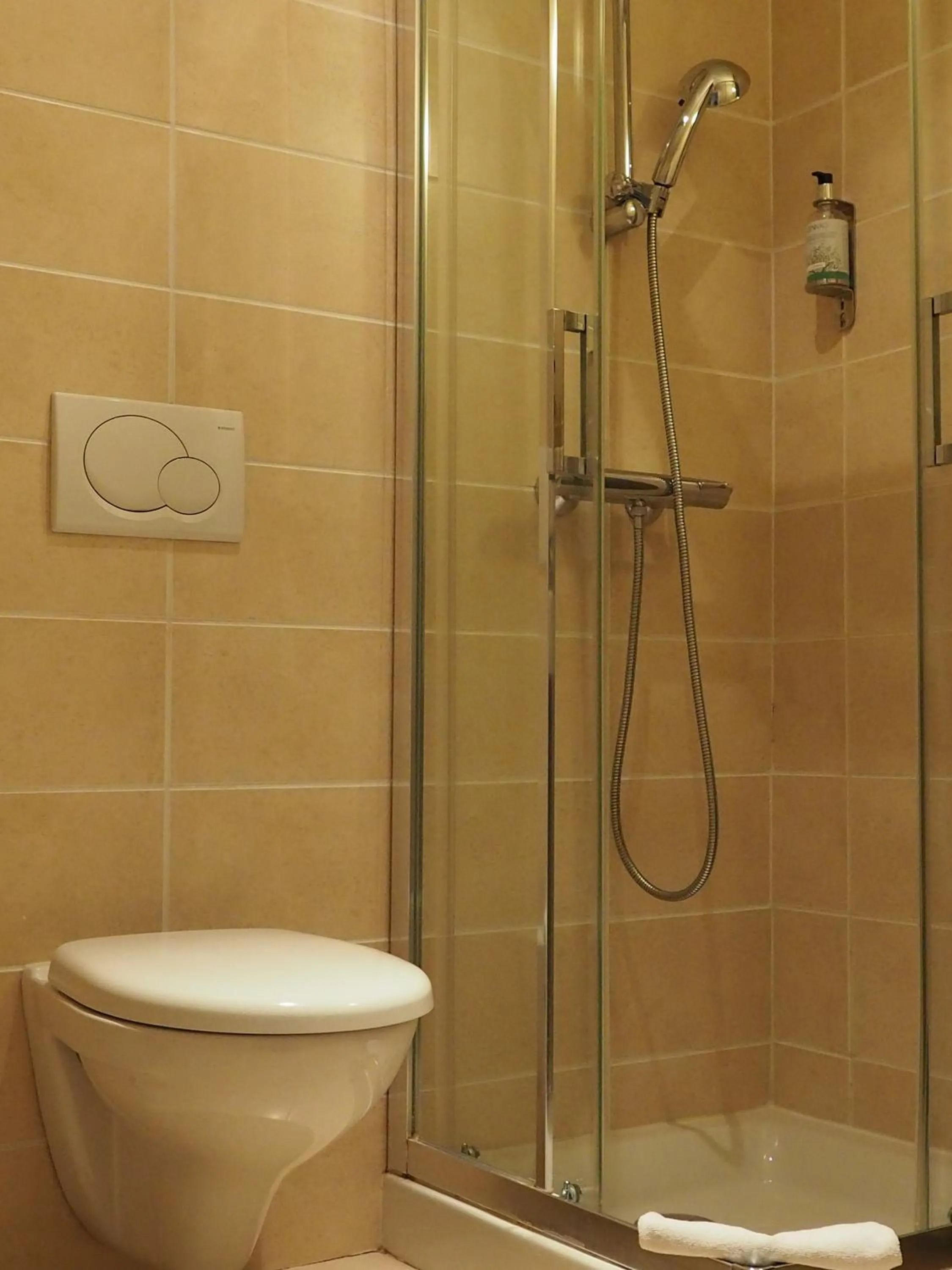 Shower in Hôtel du Dauphin