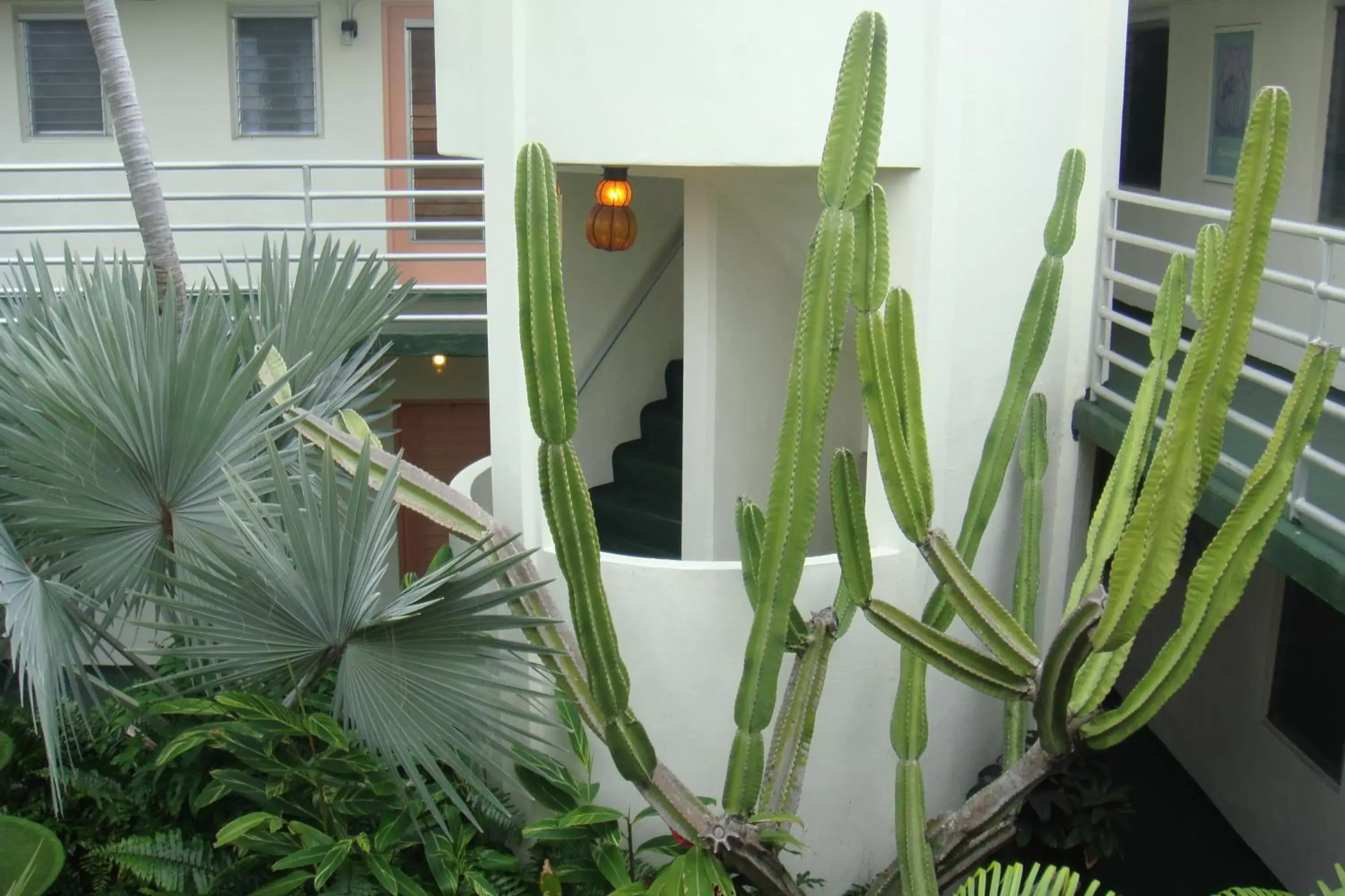 Garden in El Patio Motel