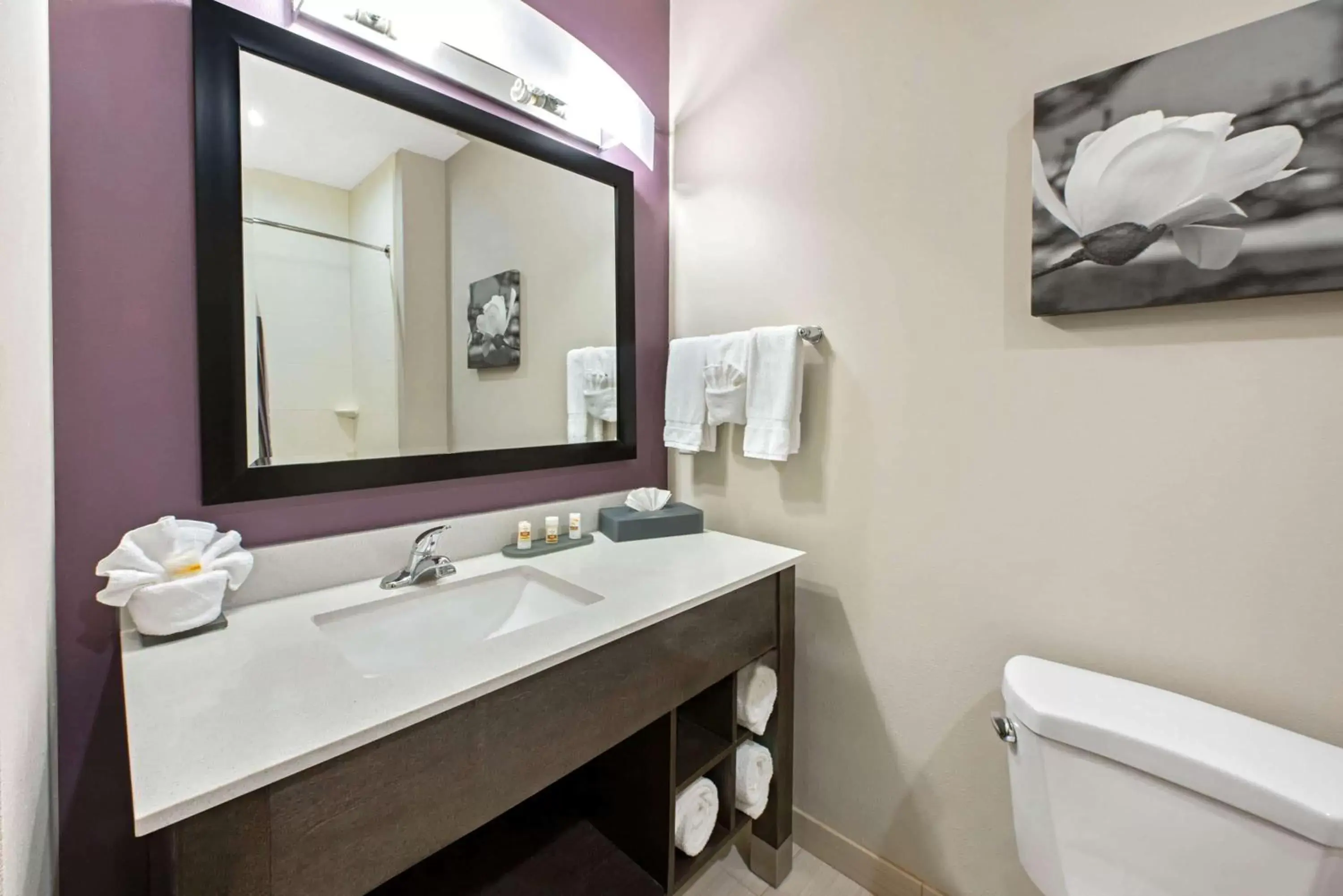 Bathroom in La Quinta by Wyndham Lake Charles - Westlake