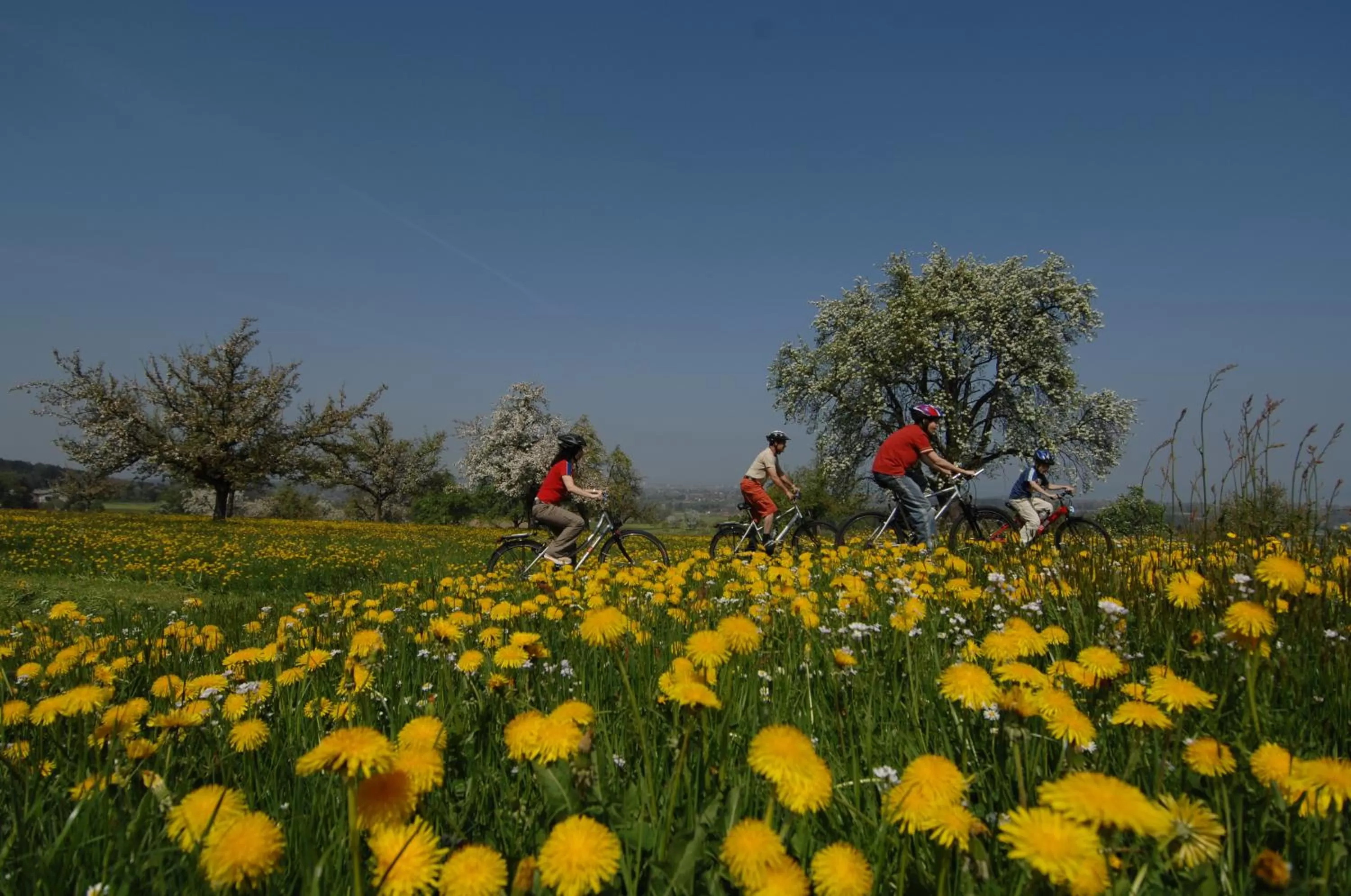 Natural landscape in Hotel de Charme Römerhof