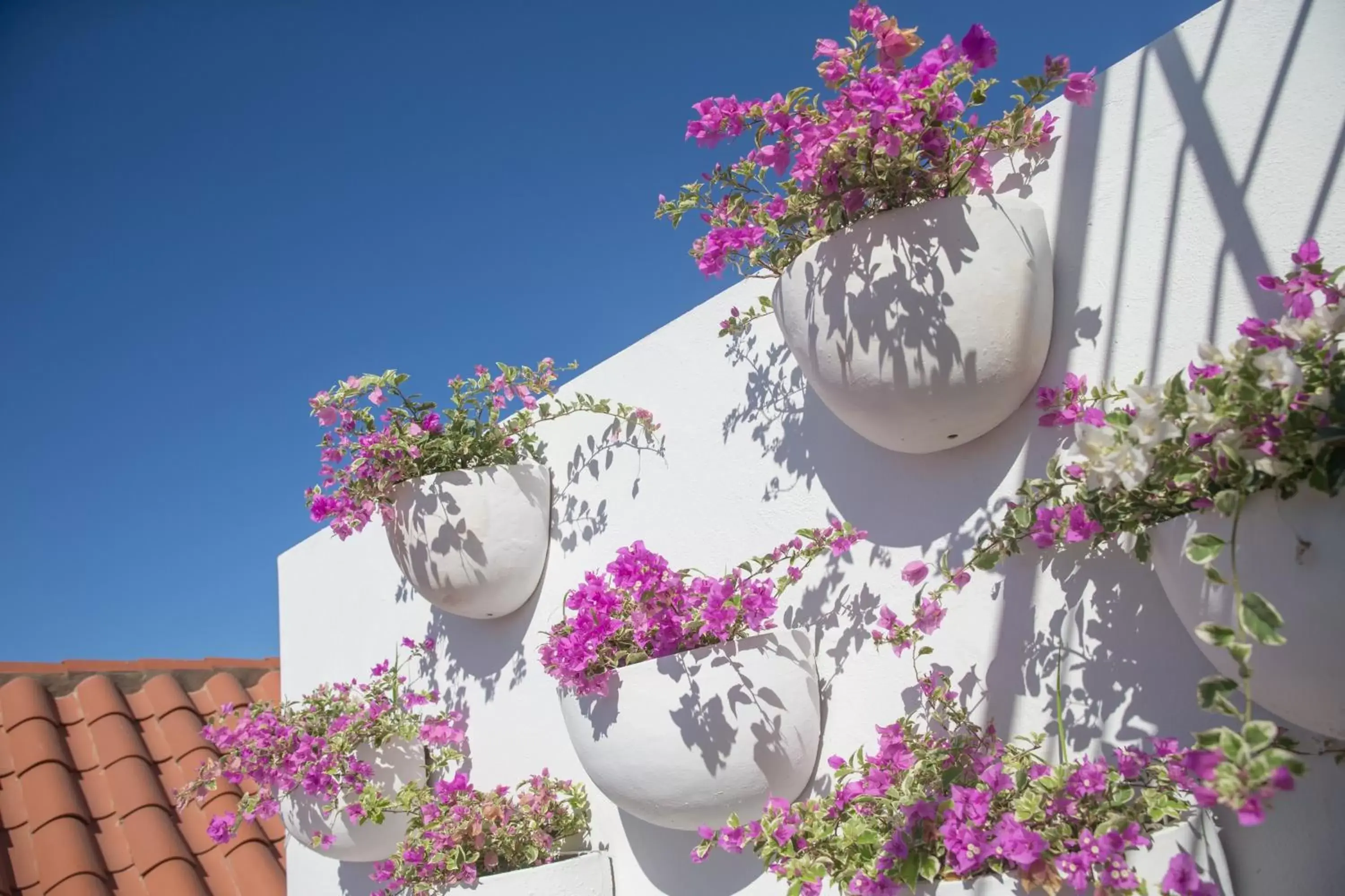 Garden view in Casa Claver Loft Boutique Hotel