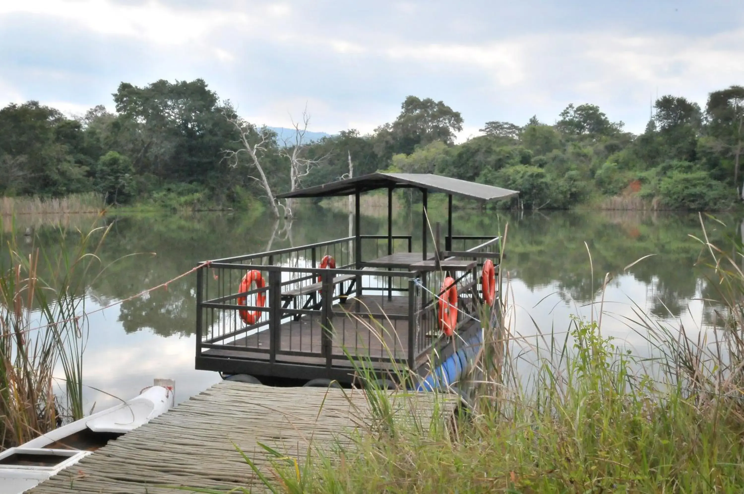 View (from property/room) in Tzaneen Country Lodge