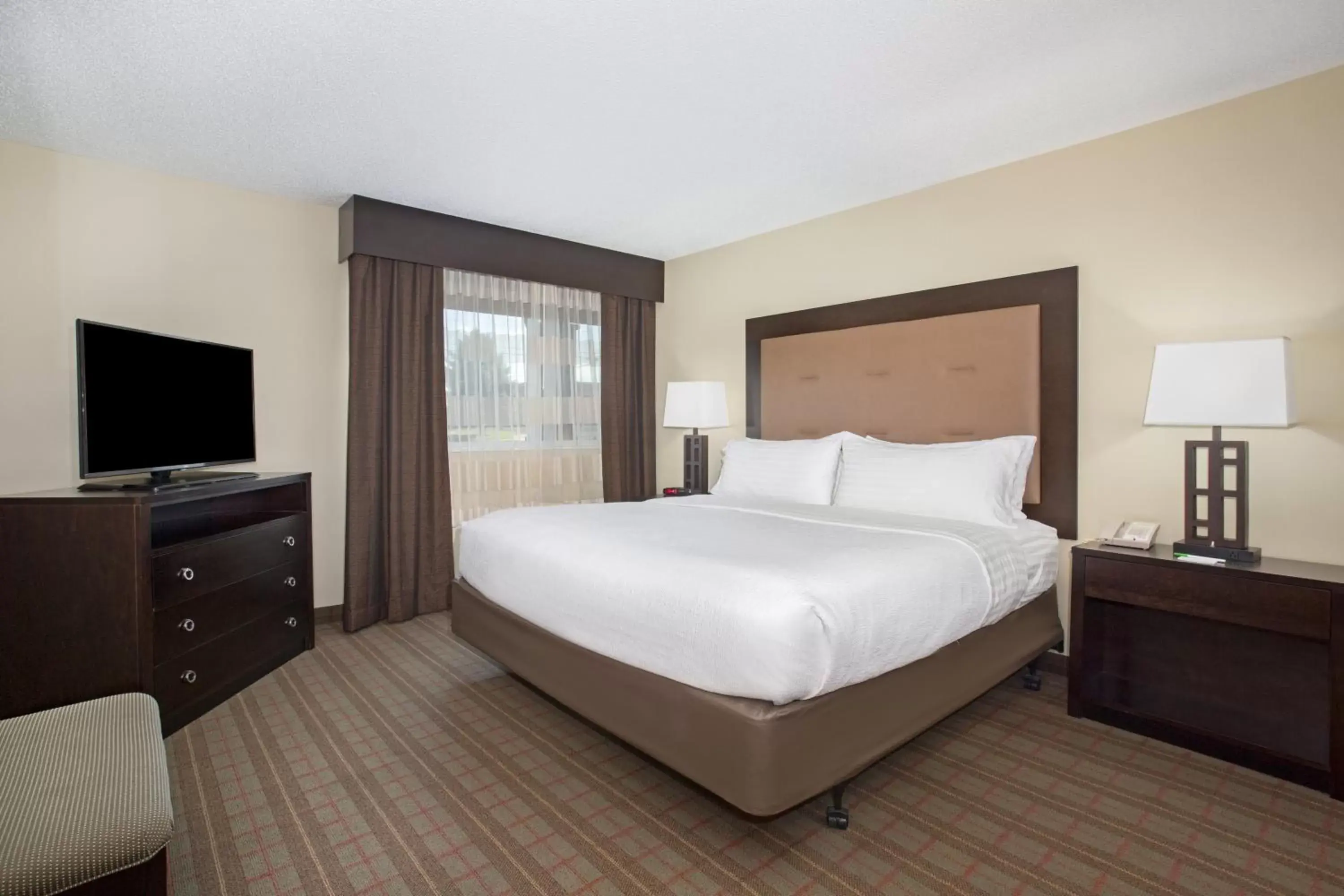 Photo of the whole room, Bed in Holiday Inn Riverton-Convention Center, an IHG Hotel