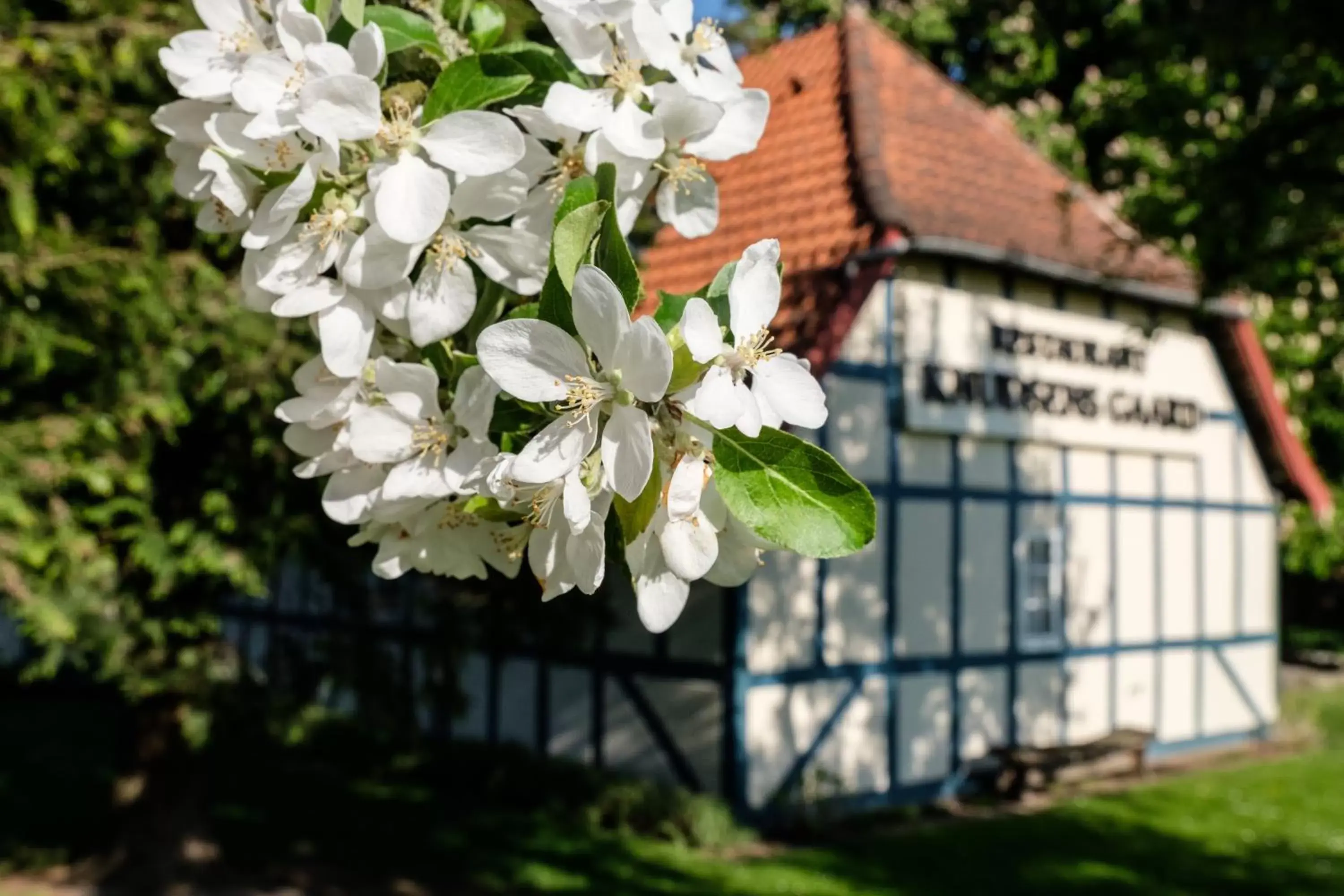 Property Building in Hotel Knudsens Gaard