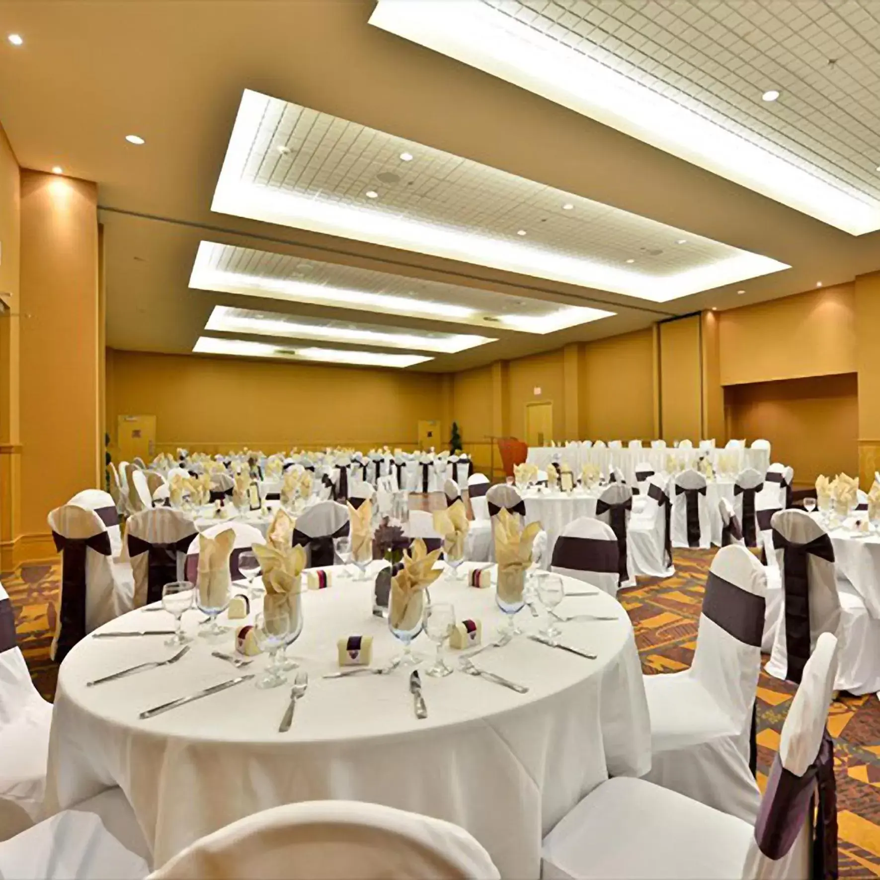 Banquet/Function facilities, Banquet Facilities in Radisson Hotel & Suites Red Deer