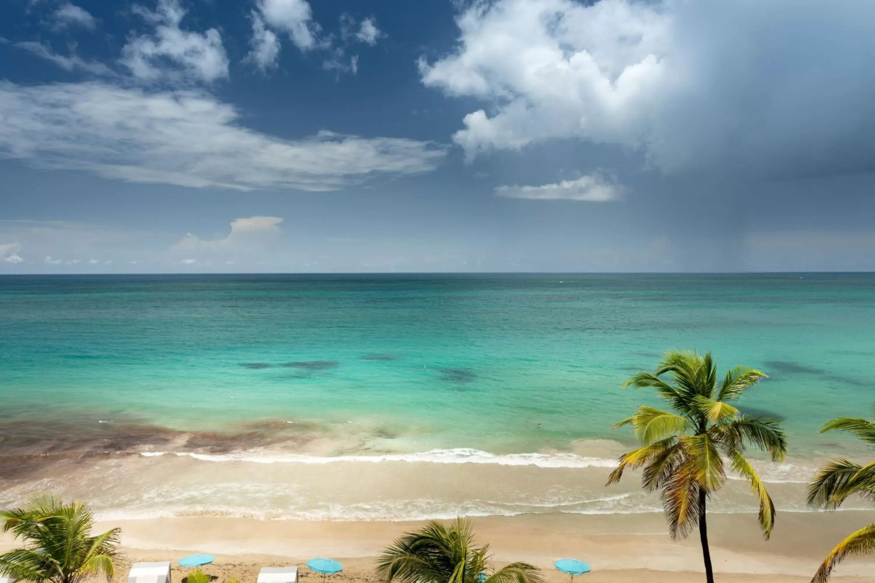 Photo of the whole room, Beach in San Juan Marriott Resort and Stellaris Casino