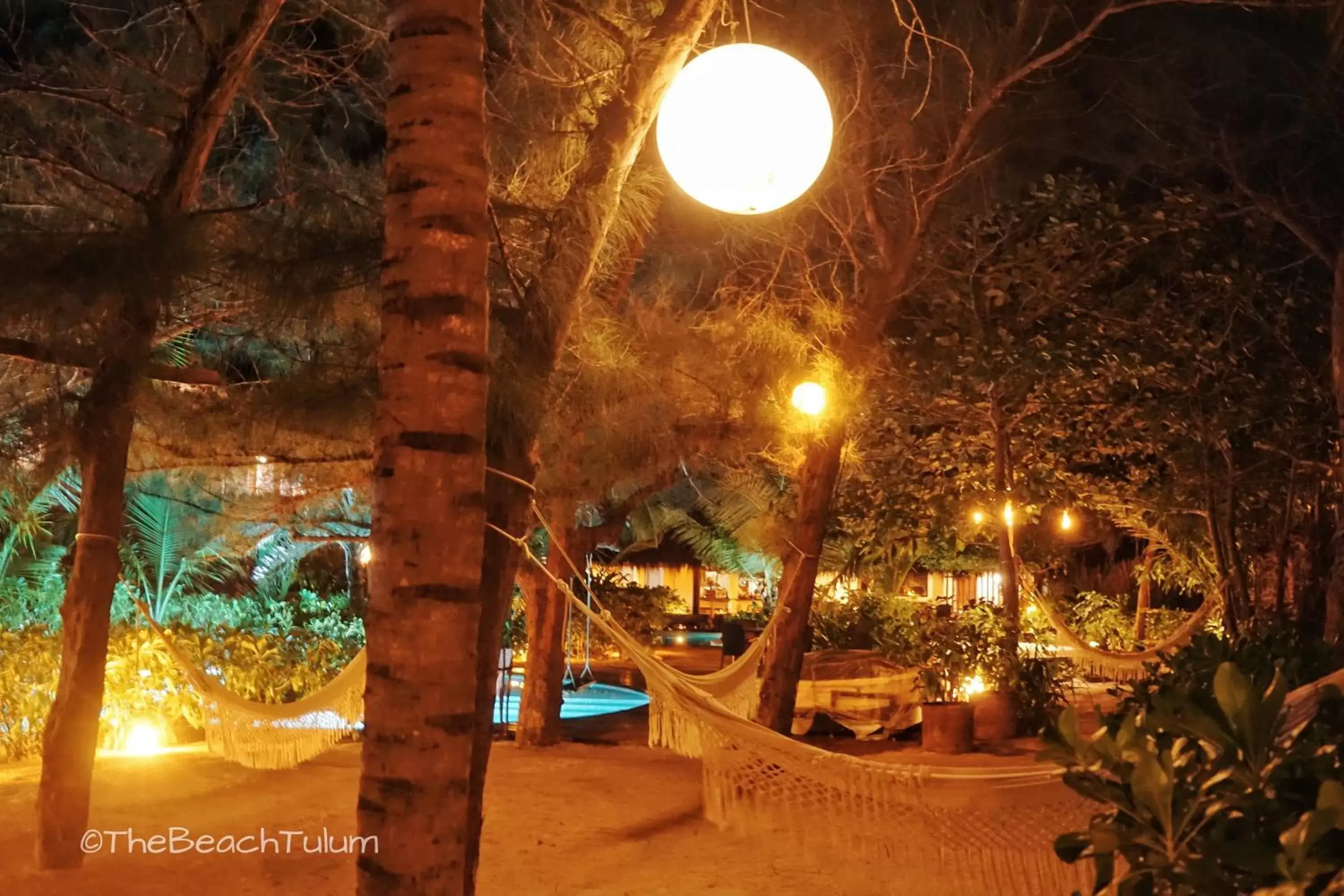 Night, Garden in The Beach Tulum