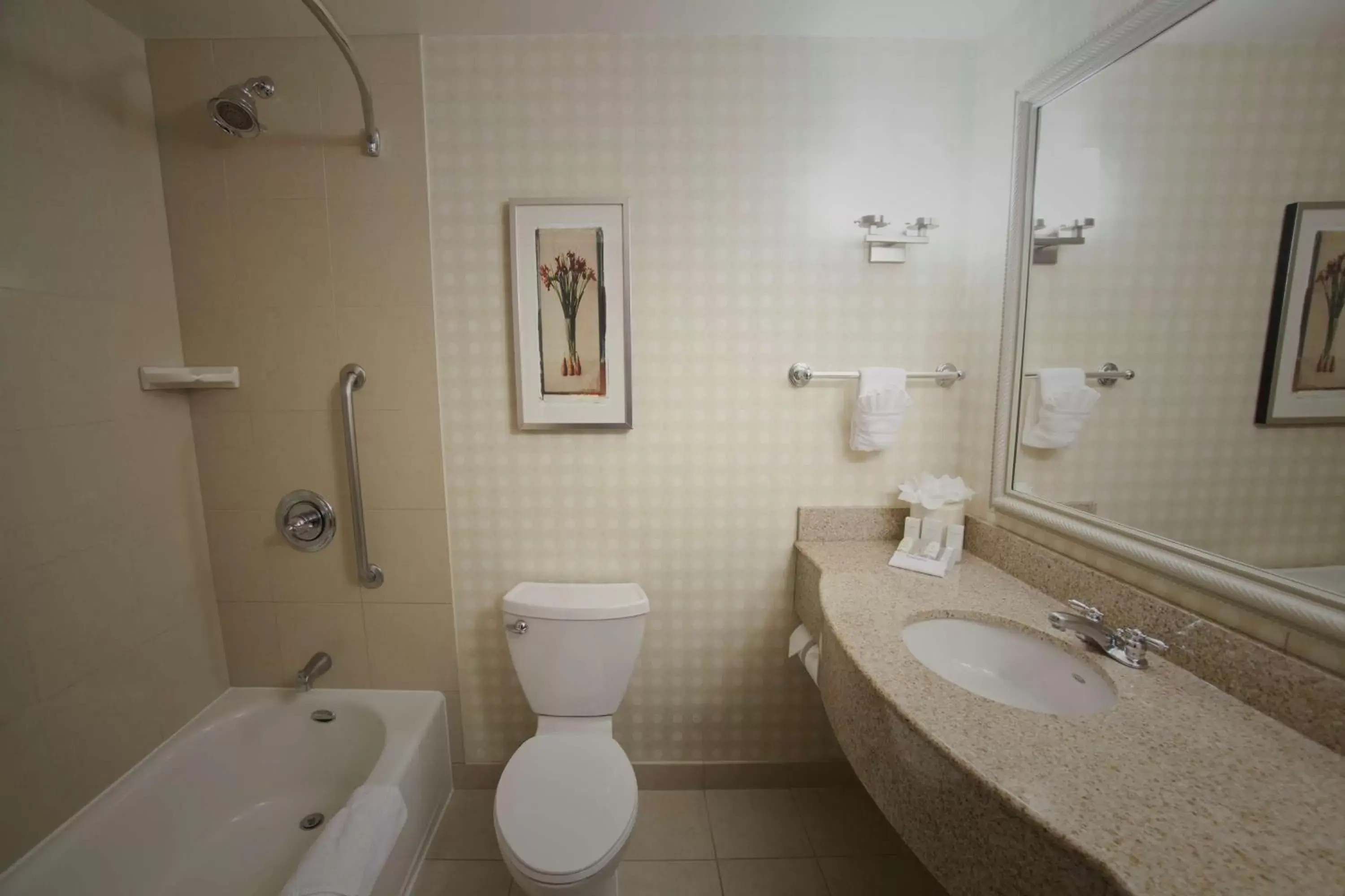 Bathroom in Hilton Garden Inn Albuquerque Uptown