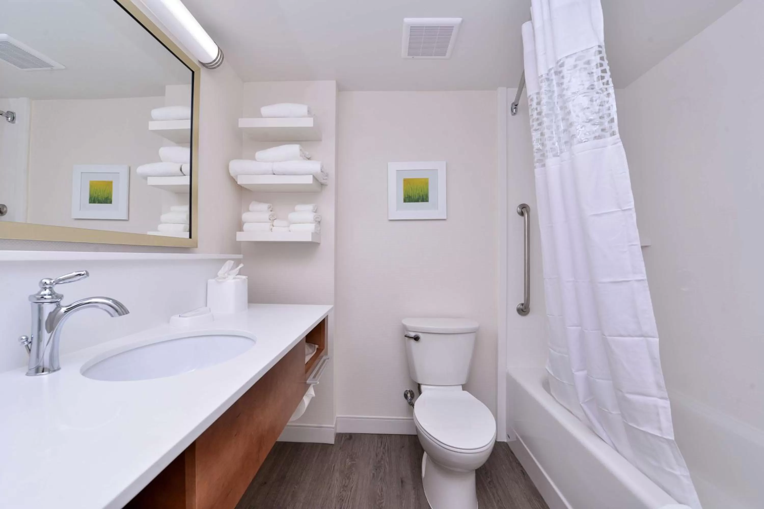 Bathroom in Hampton Inn Cartersville