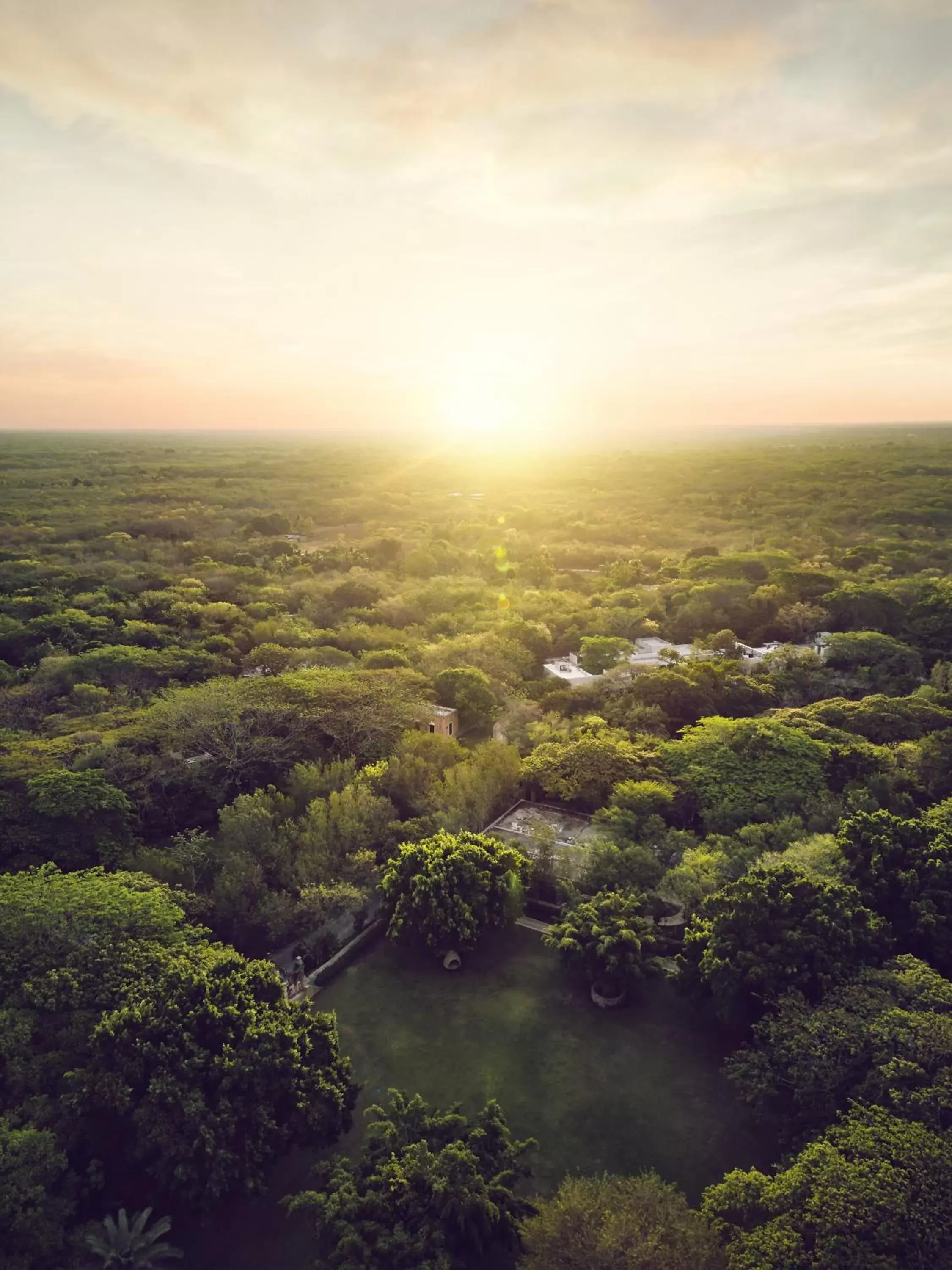 Natural landscape in Chablé Yucatan