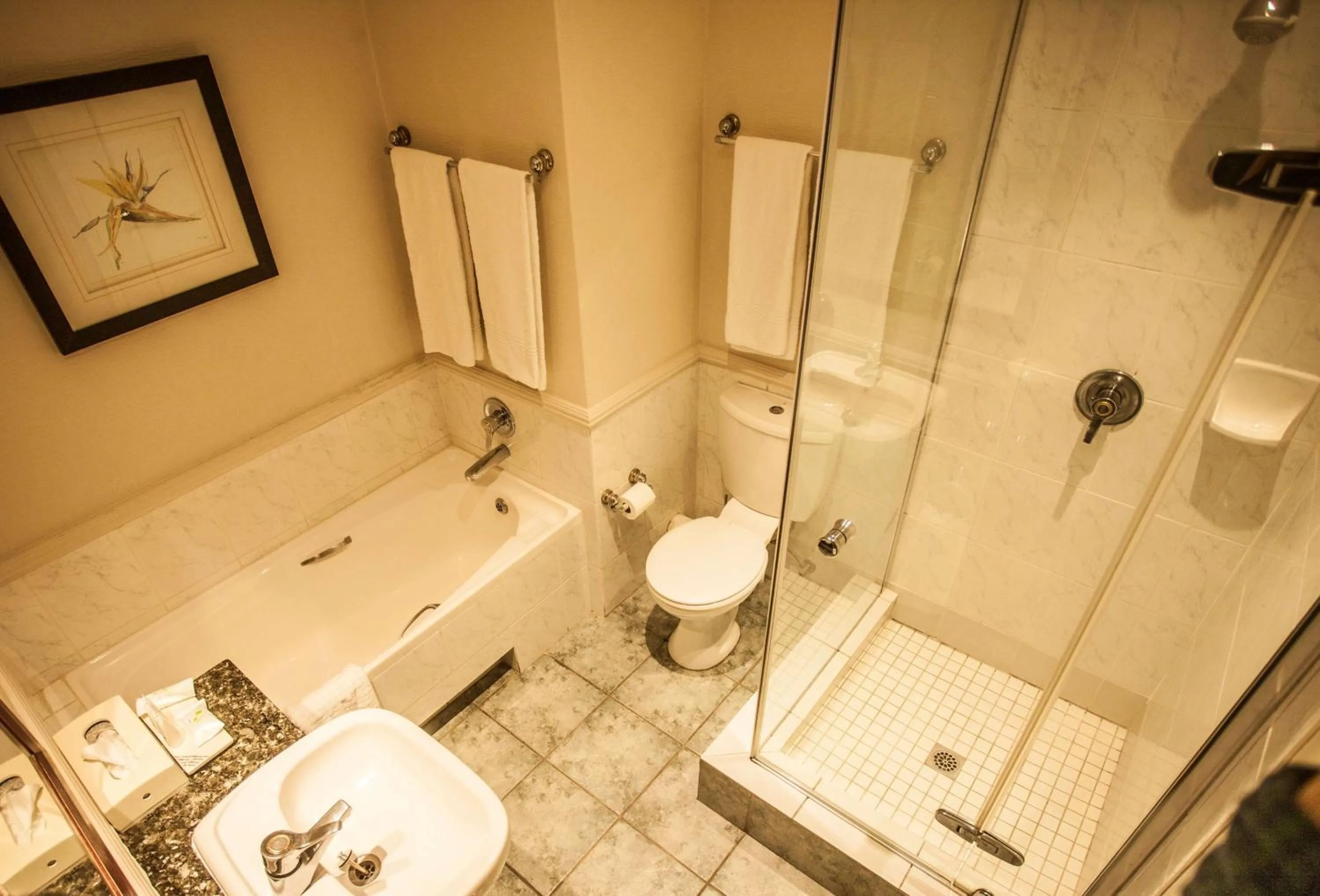 Bathroom in Garden Court Morningside Sandton