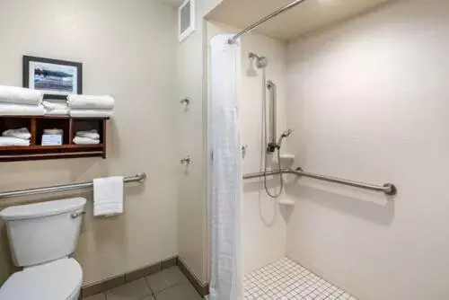 Bathroom in Comfort Inn & Suites I-90 City Center