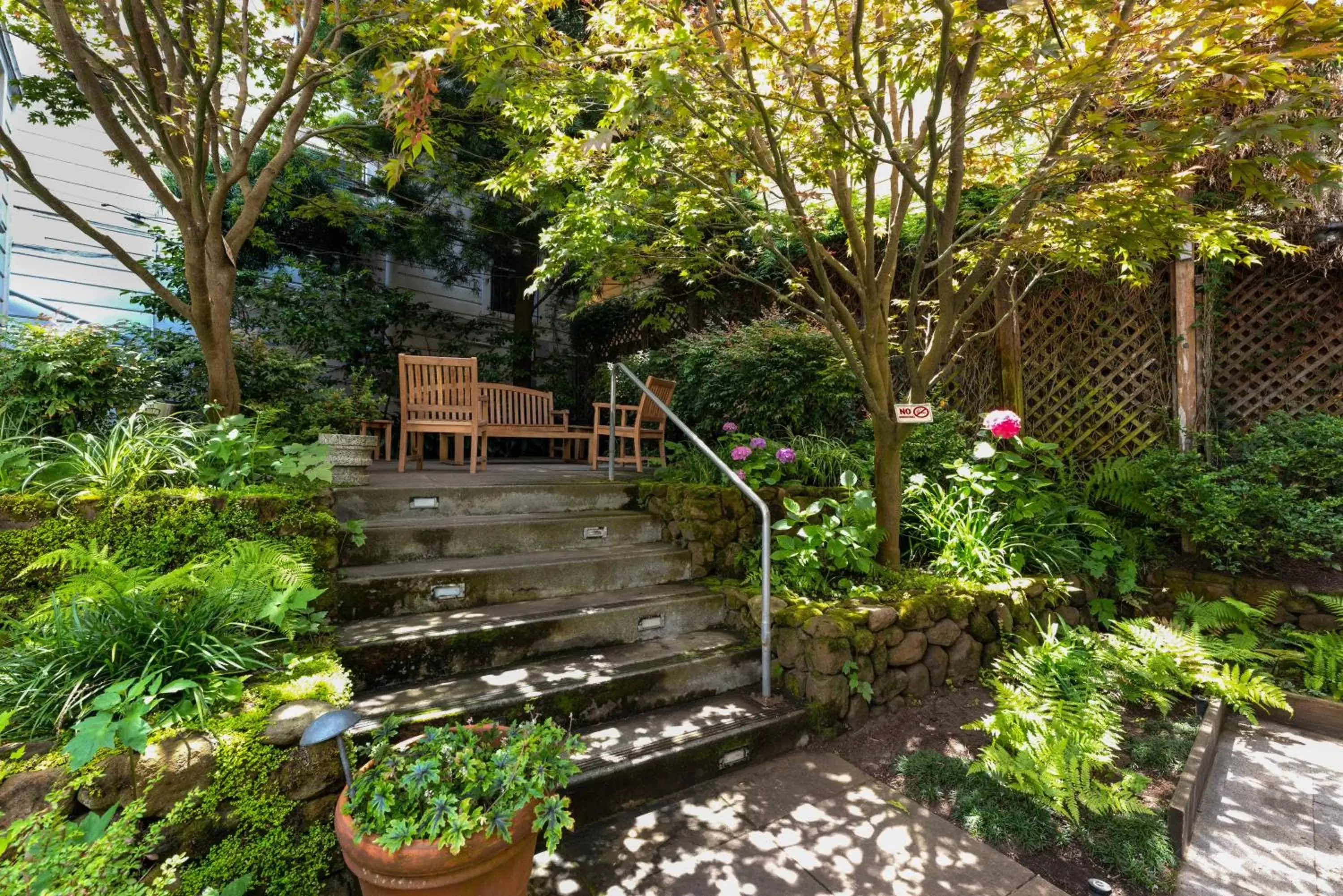 Garden in The Metro Hotel