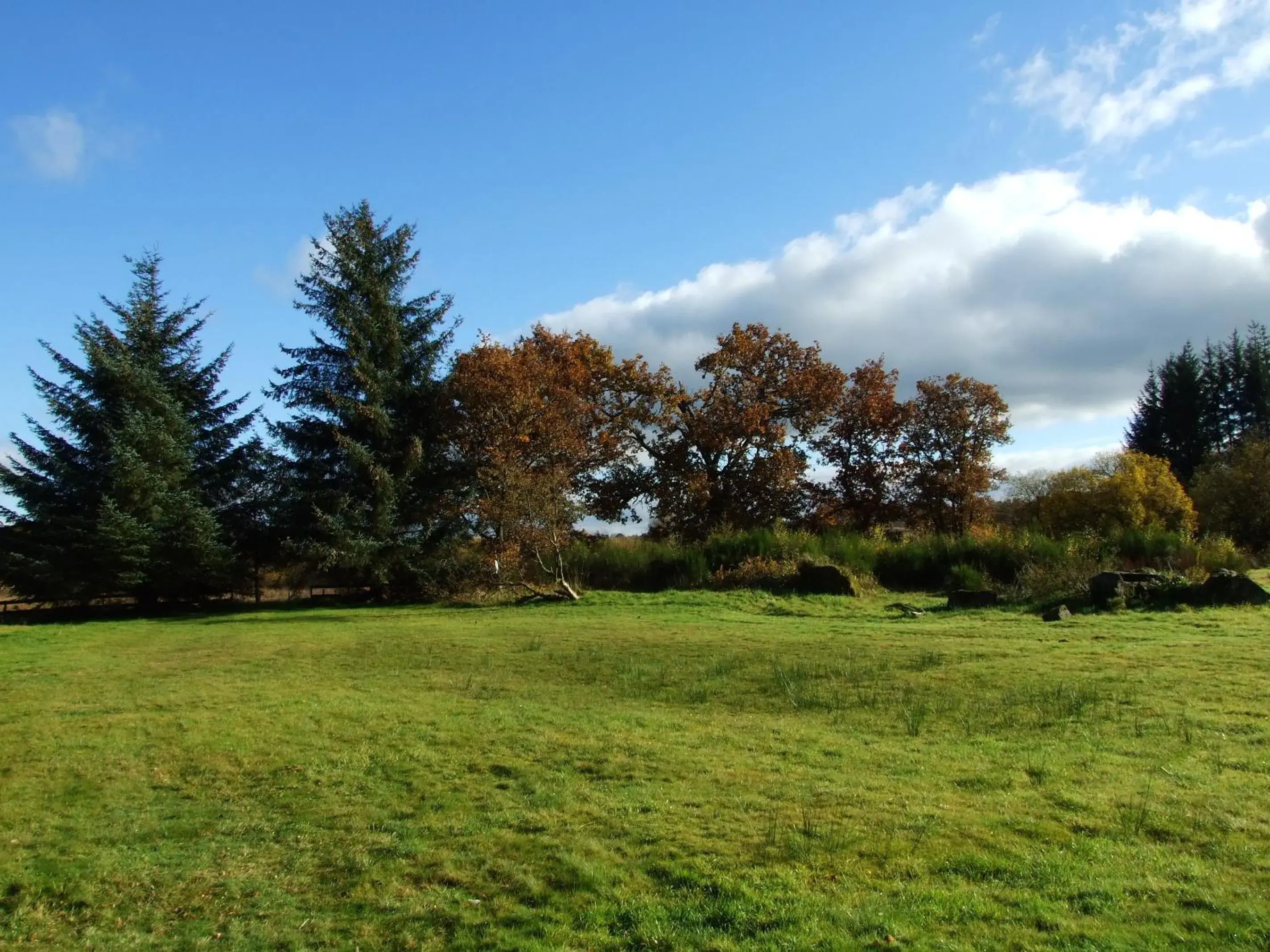 Day, Garden in Rob Roy Hotel