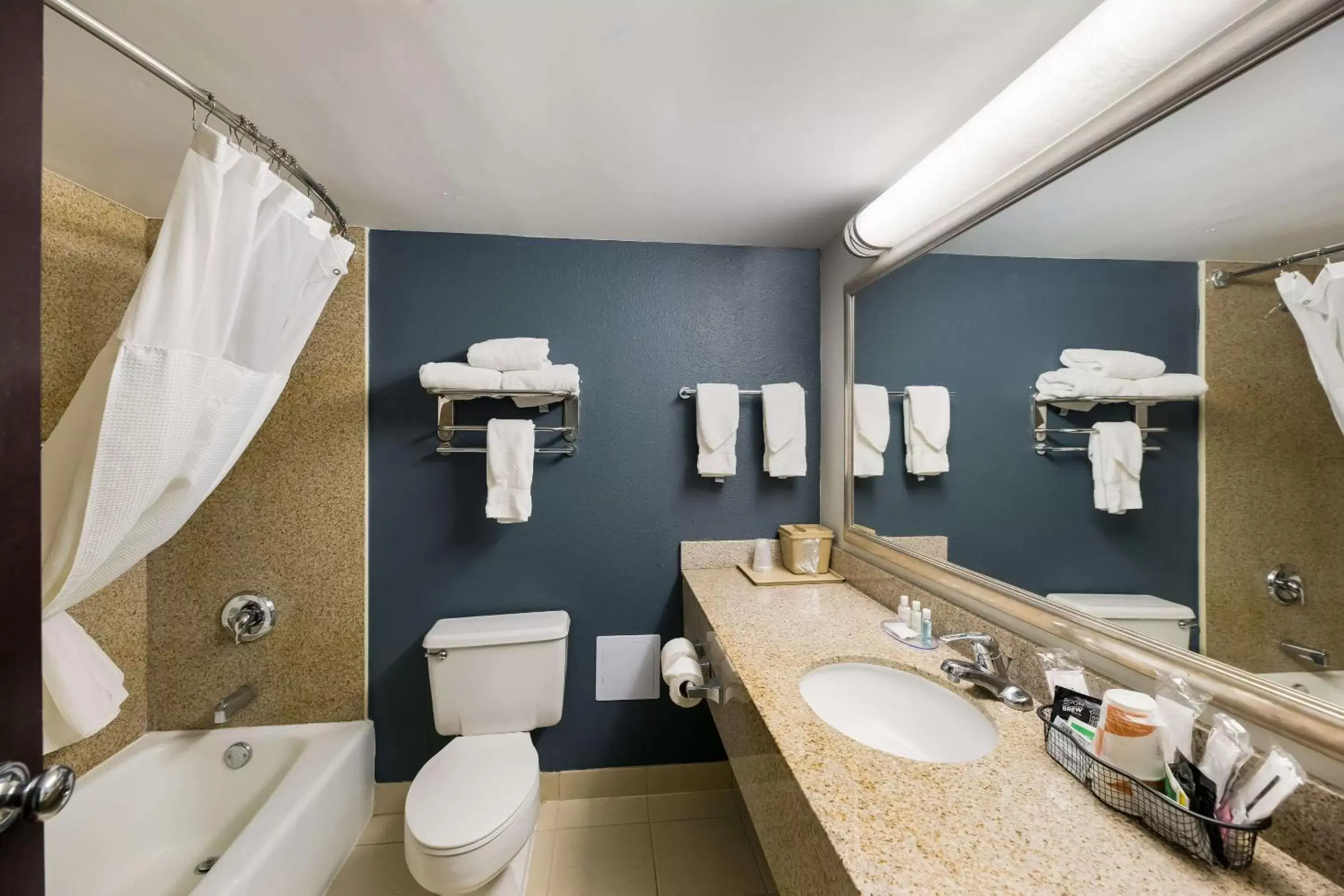 Bedroom, Bathroom in Clarion Hotel San Angelo near Convention Center