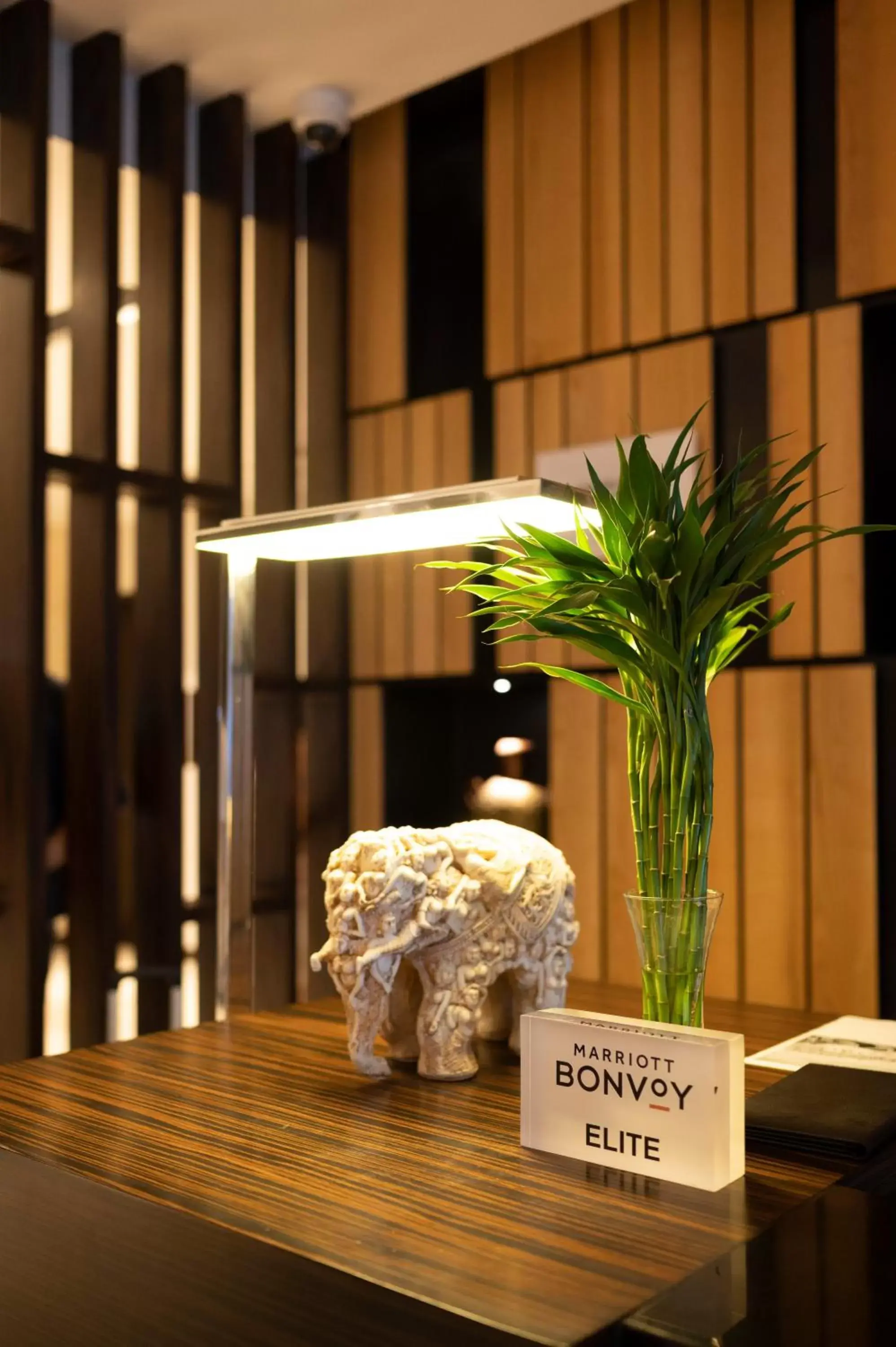 Lobby or reception in Fairfield by Marriott Agra