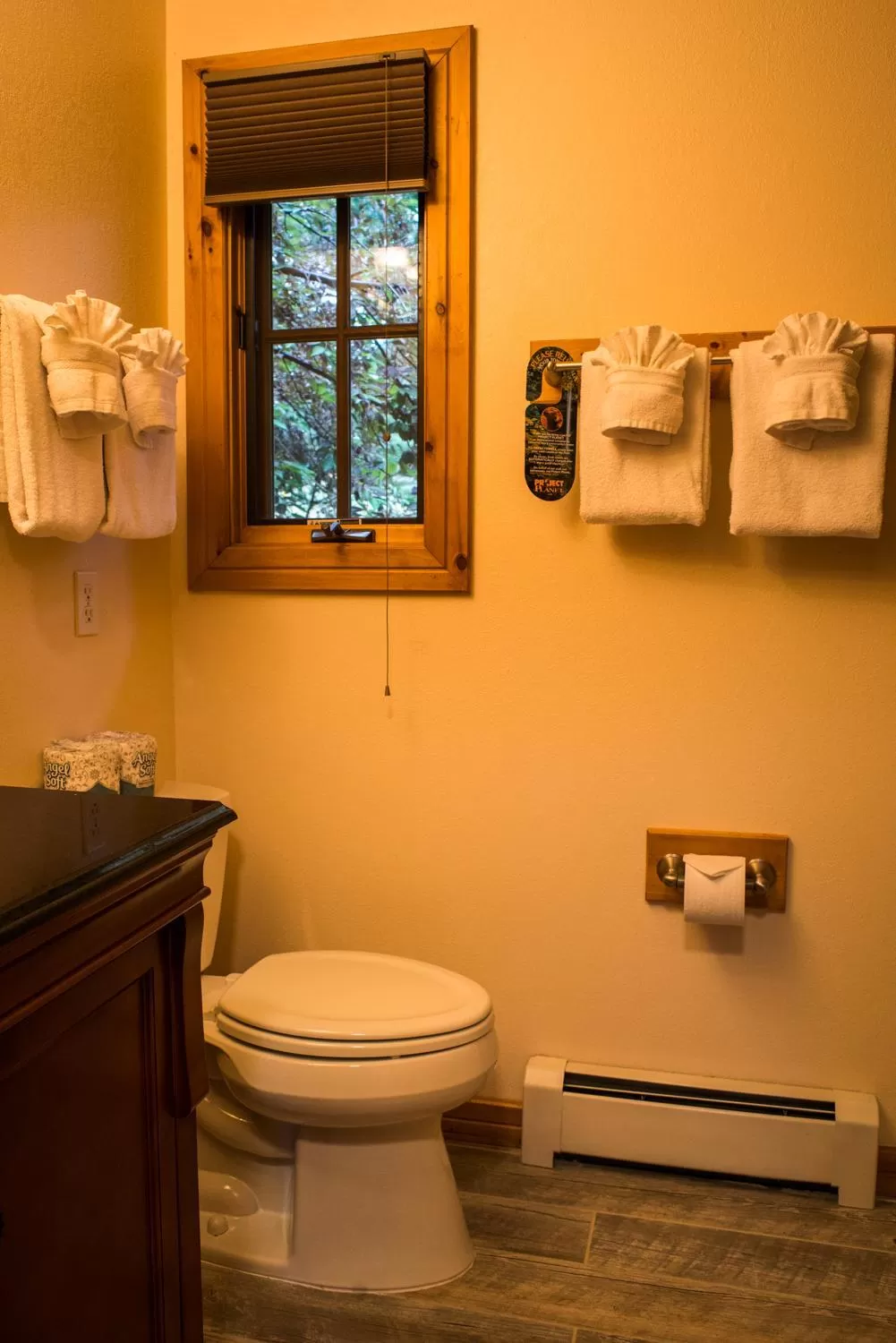 Toilet in Appenzell Inn