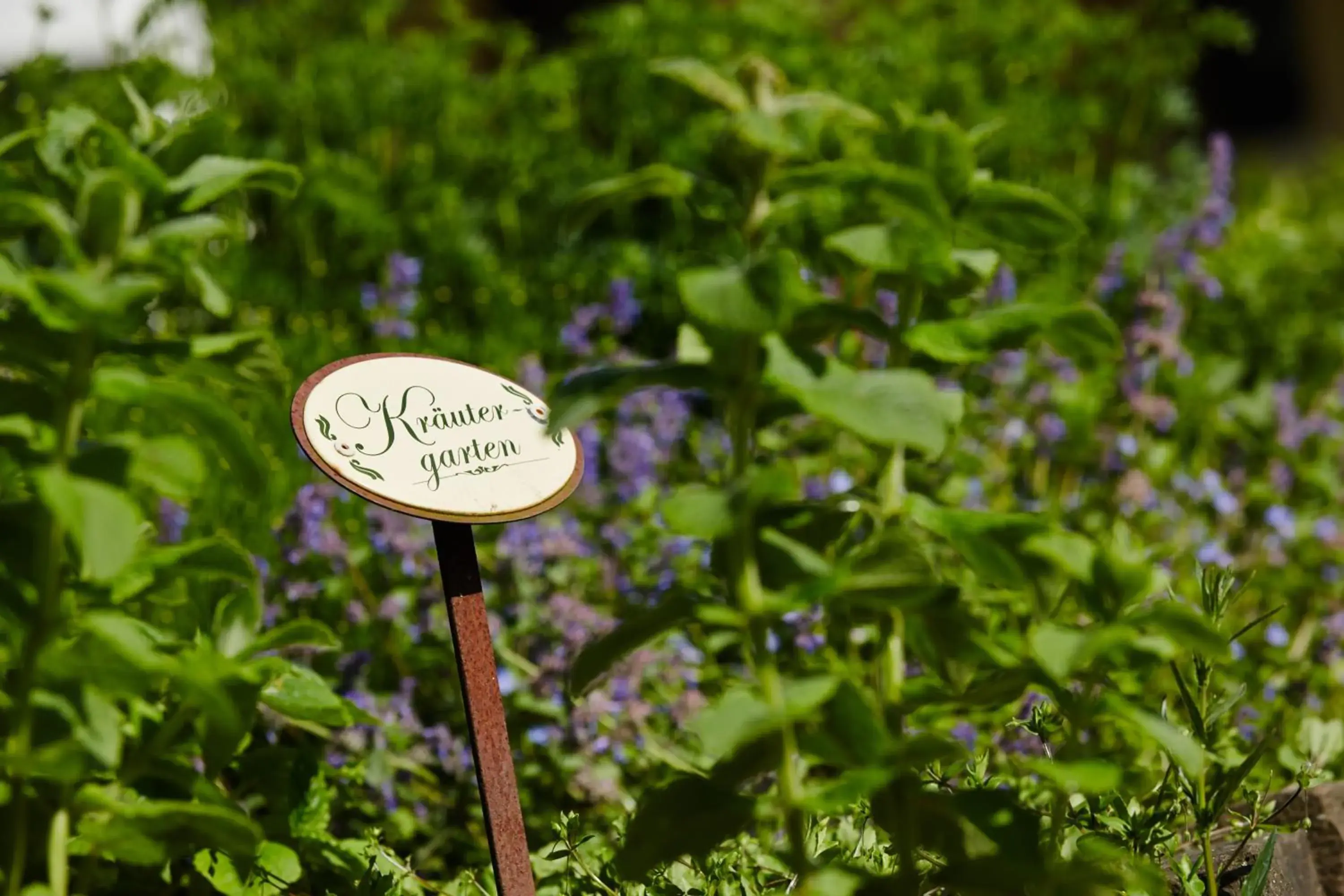 Garden view in Hotel FIT