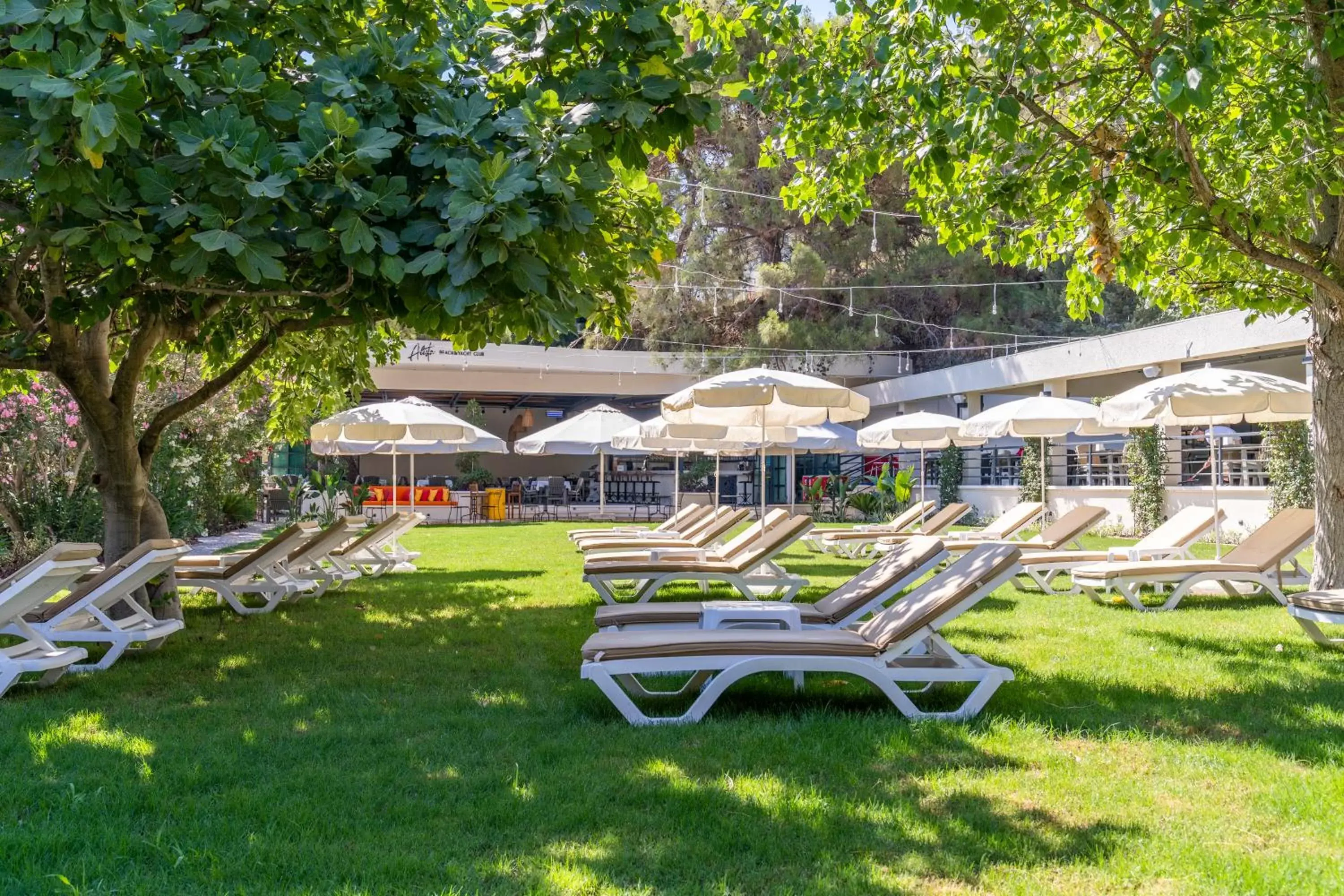 Beach, Garden in Alesta Yacht Hotel