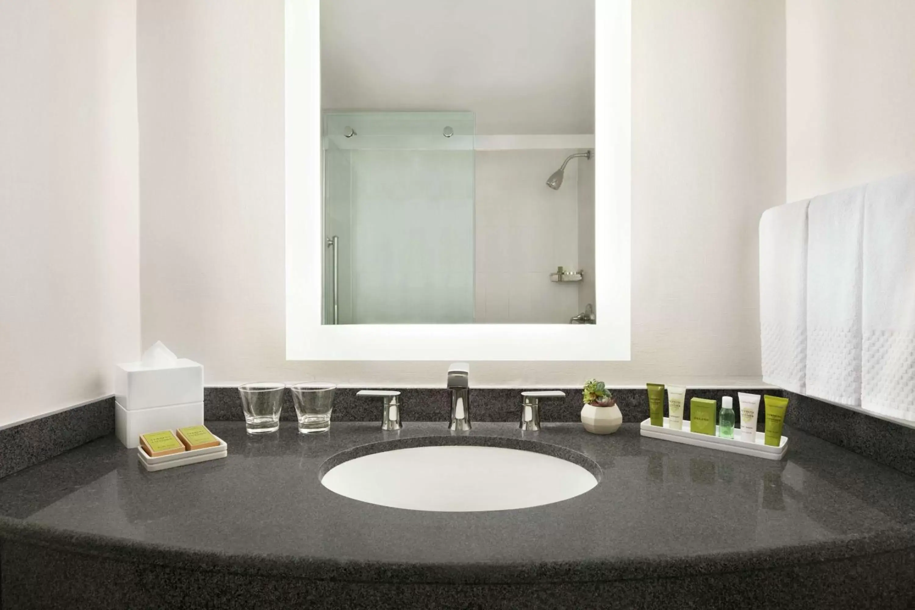 Bathroom in Hilton Scottsdale Resort & Villas
