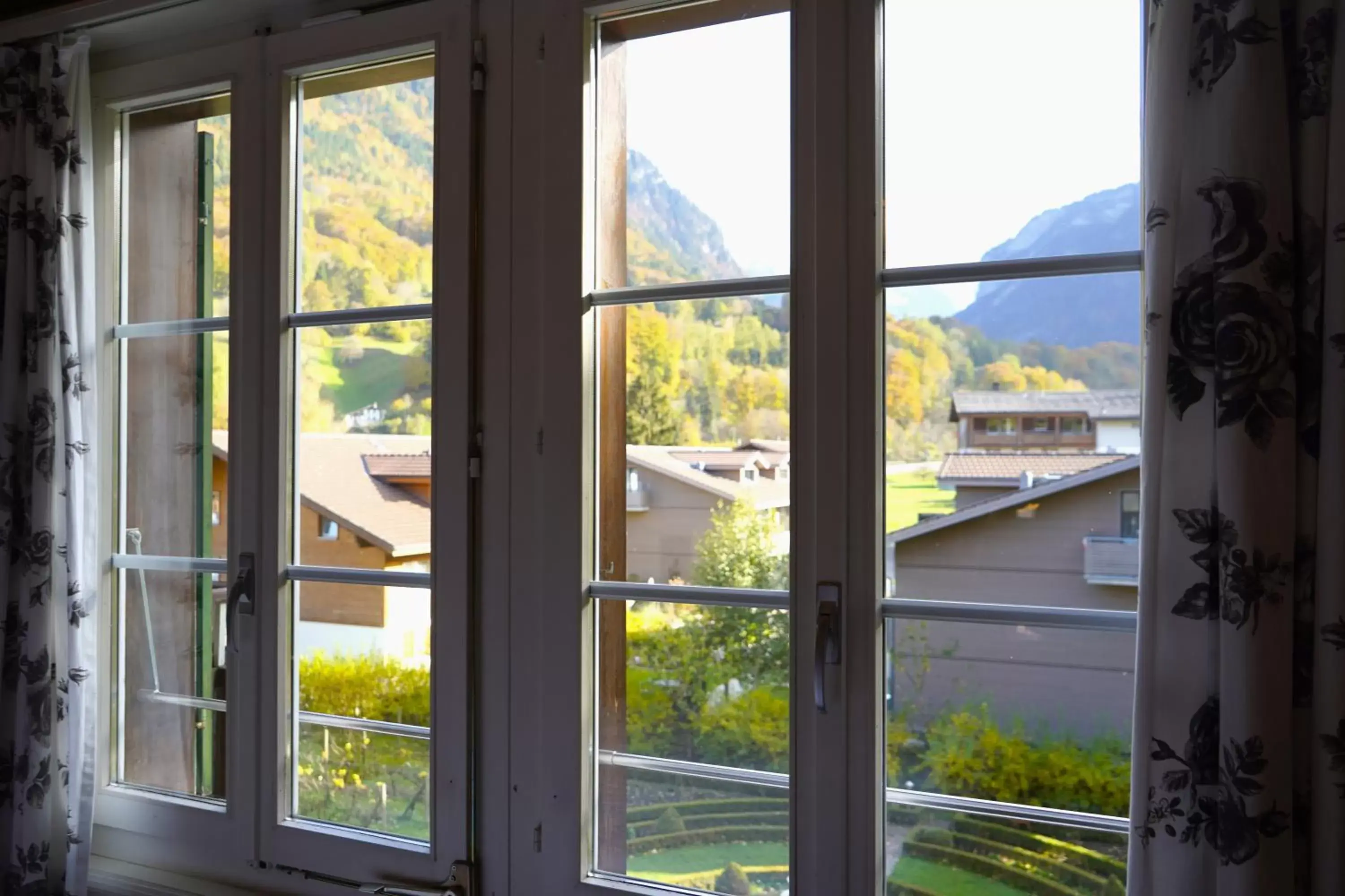 Natural landscape in Alpenrose Hotel and Gardens